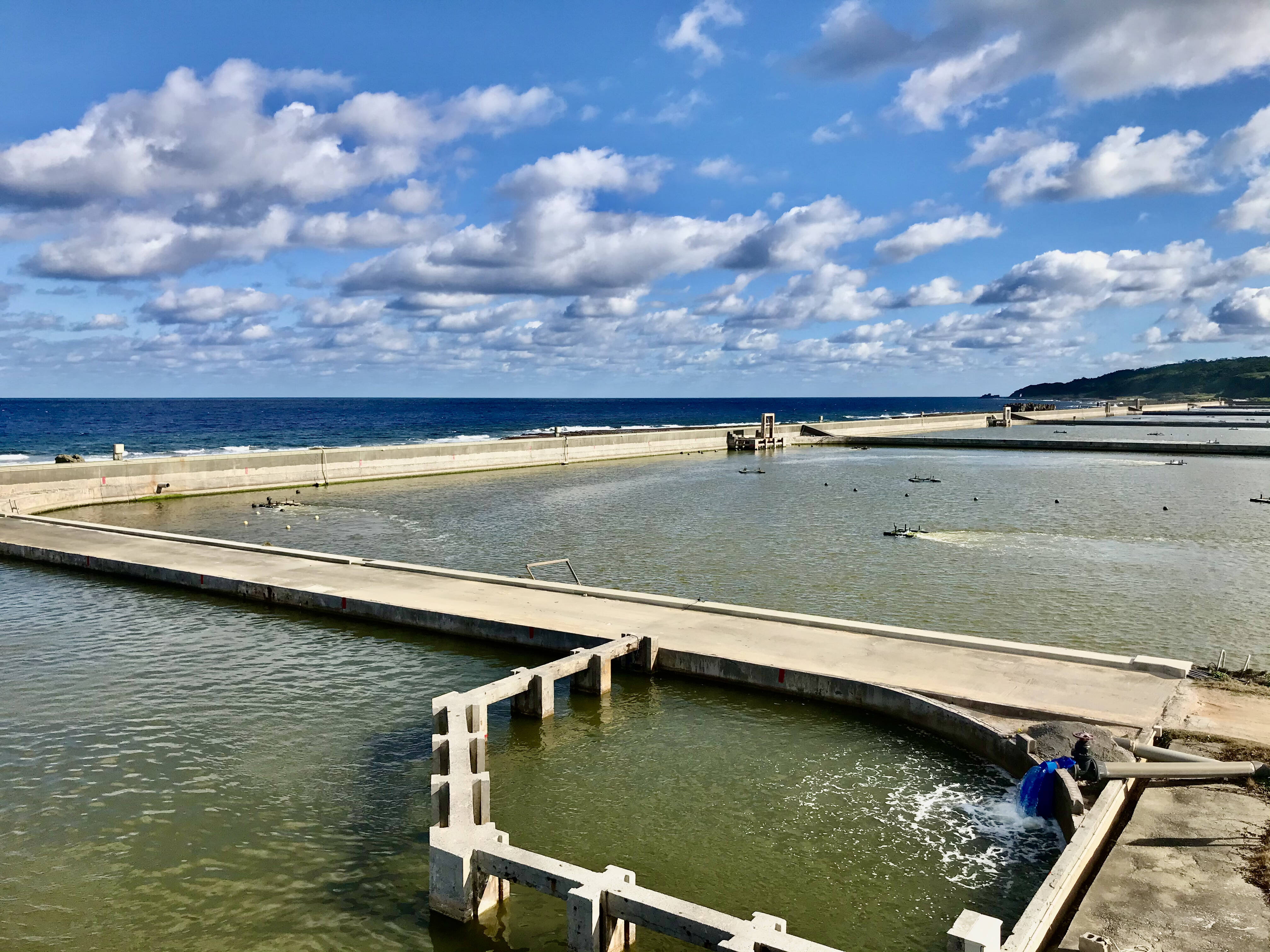 久米総合開発株式会社の紹介 沖縄県 食べチョク 農家 漁師の産直ネット通販 旬の食材を生産者直送