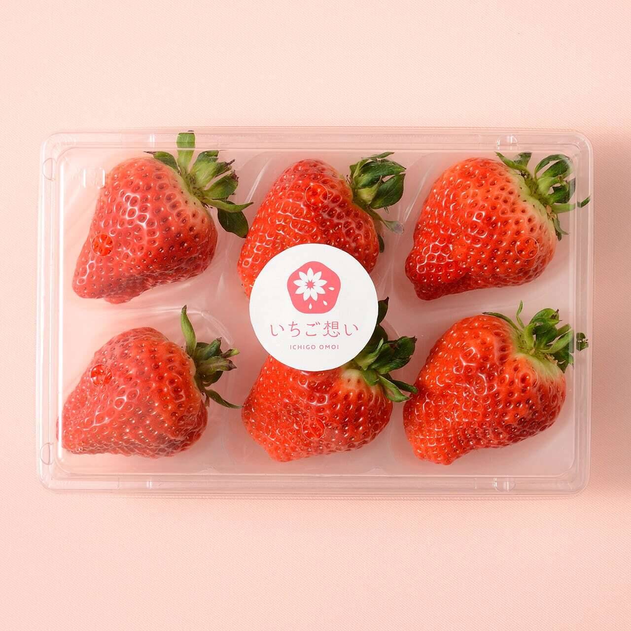 きっと想いが伝わるいちご-越後姫4Lサイズ6個入り：新潟県産の越後姫