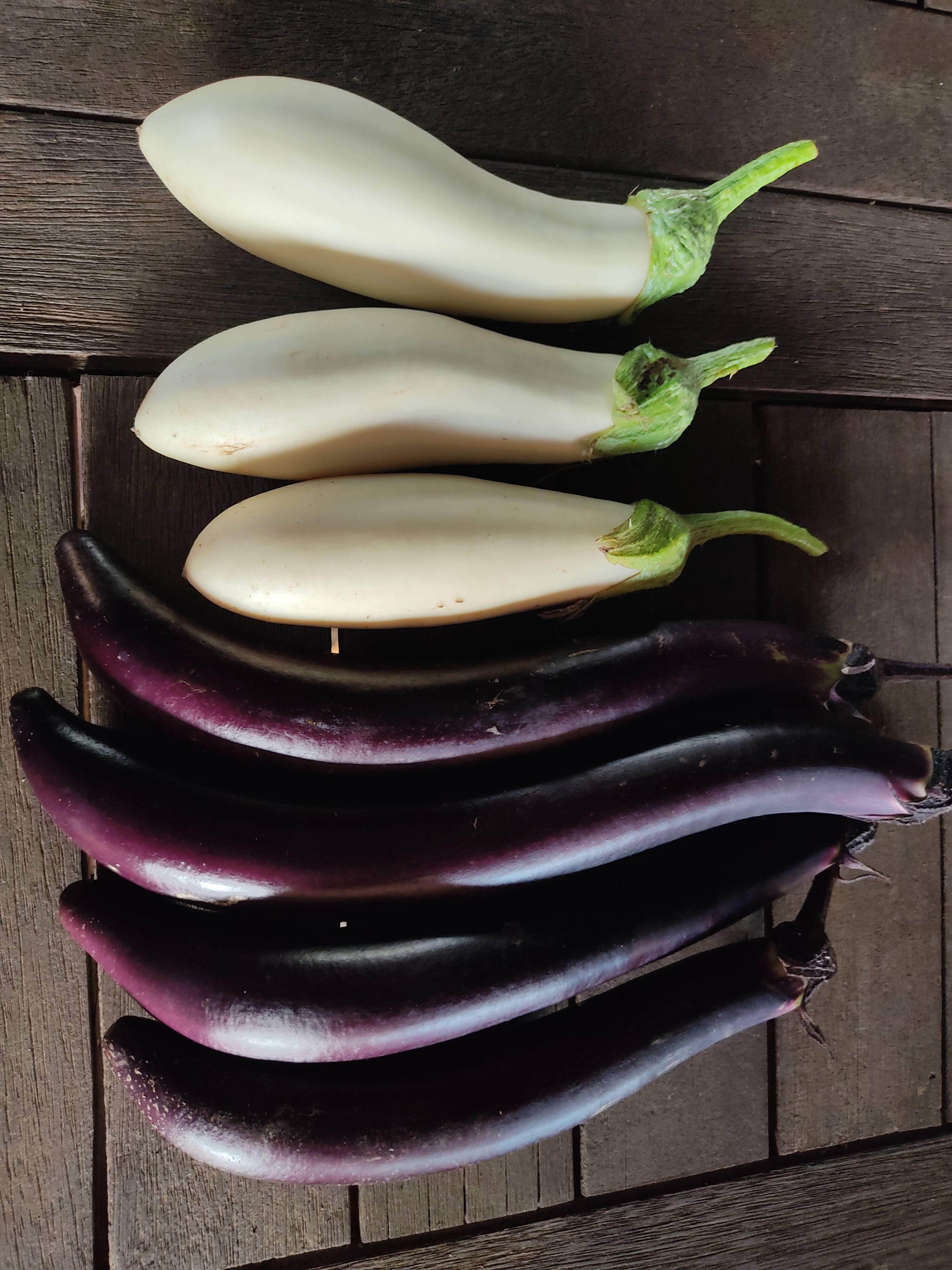 🍆🌱【とろ・ねば絶品】夏の定番おかずに！ナス約400g＆オクラ10～15本
