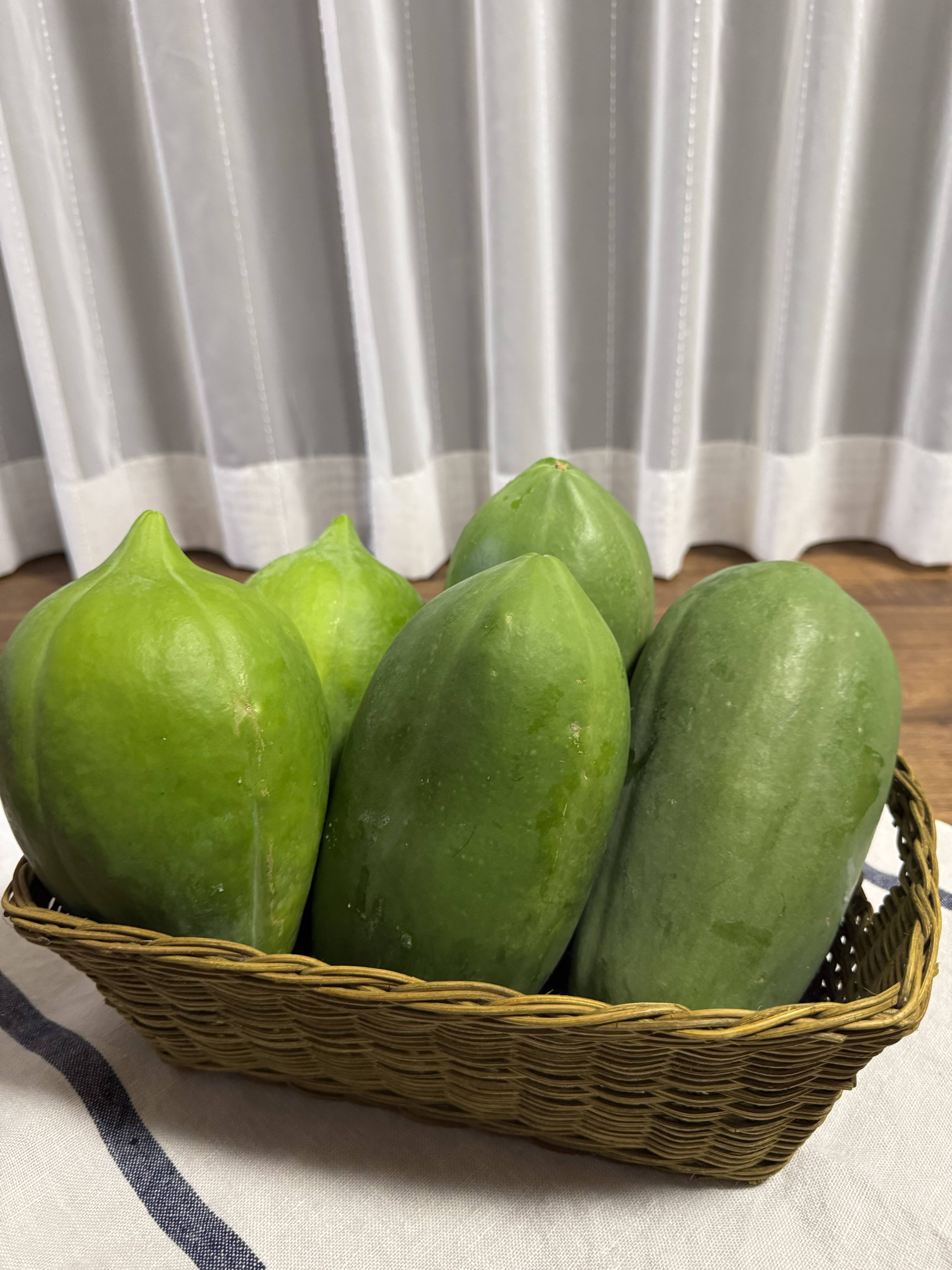 沖縄県産青パパイヤ23kg 沖縄県産、摘みたて出荷】青パパイヤ 約2kg (2-3玉相当）：沖縄県産の