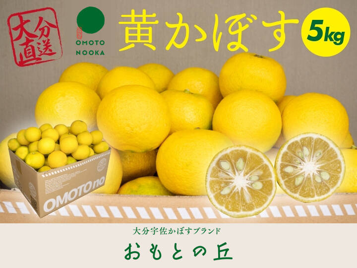 数量限定】市場にはあまり出回らない、黄かぼす（約5kg 25～35個