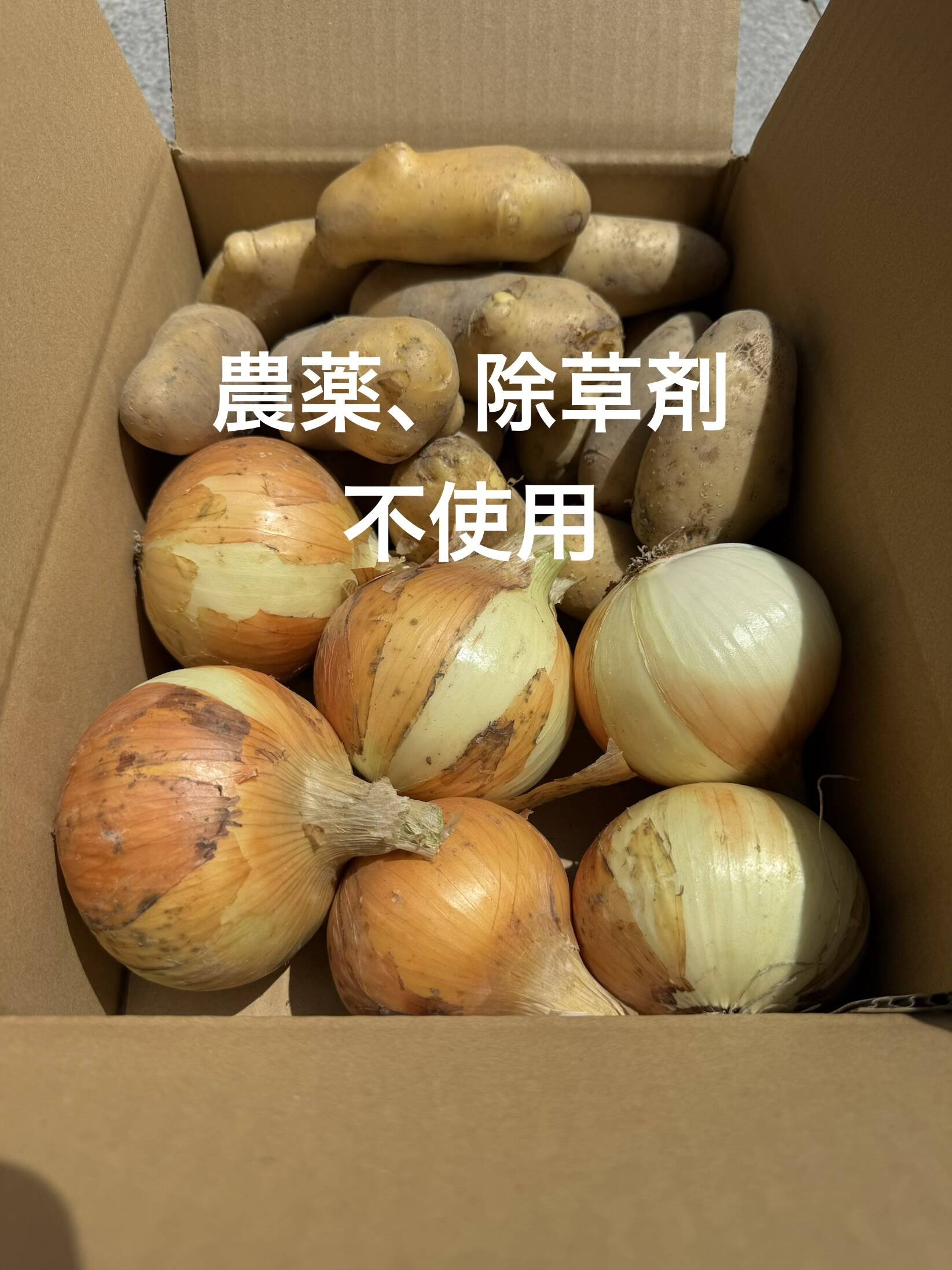 農薬・除草剤不使用】玉ねぎ＆じゃがいも 淡路島の常備野菜セット