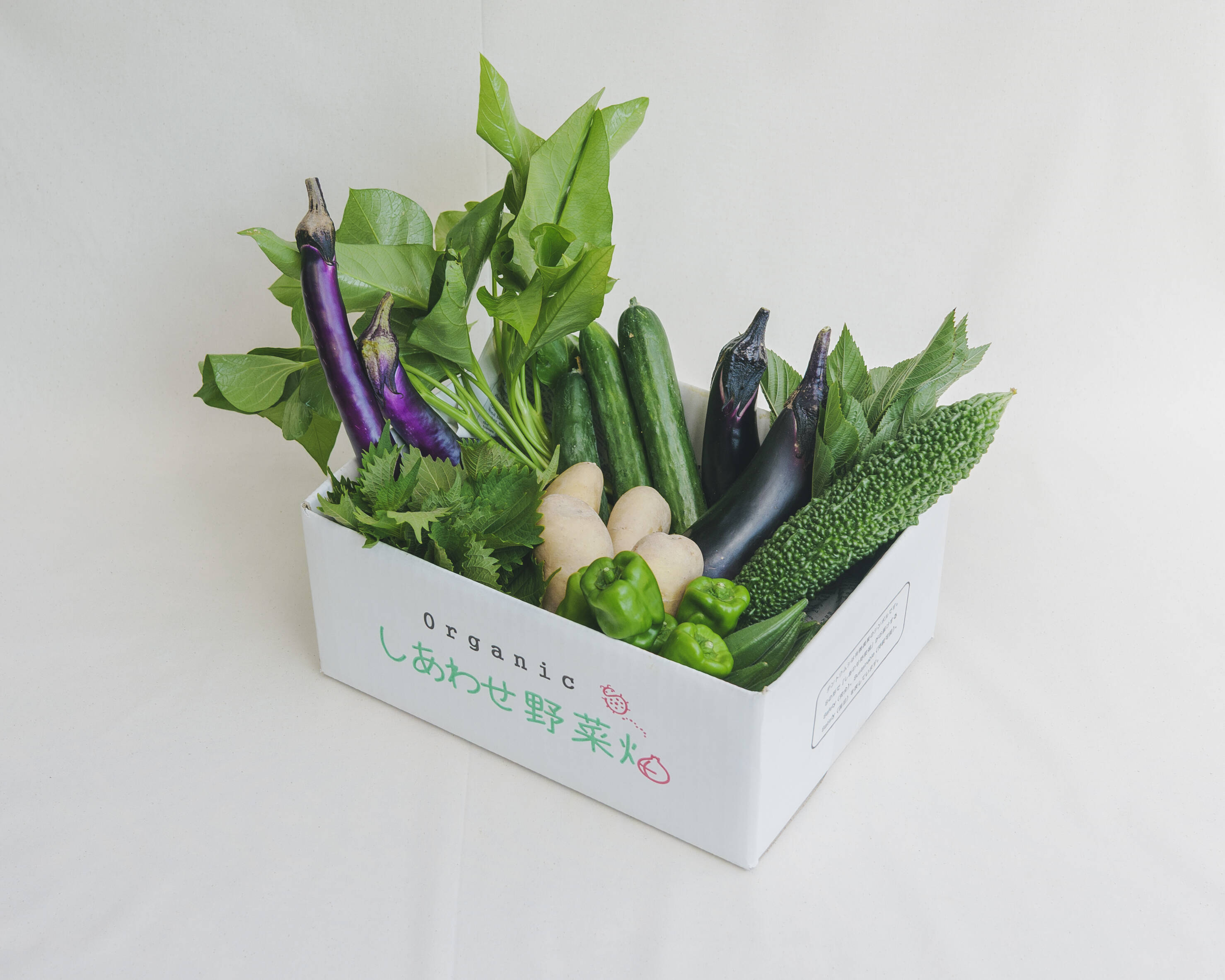 ささきこ様　野菜セット 旬の有機野菜Mセット しあわせ野菜畑（有機JAS）：静岡県産の野菜