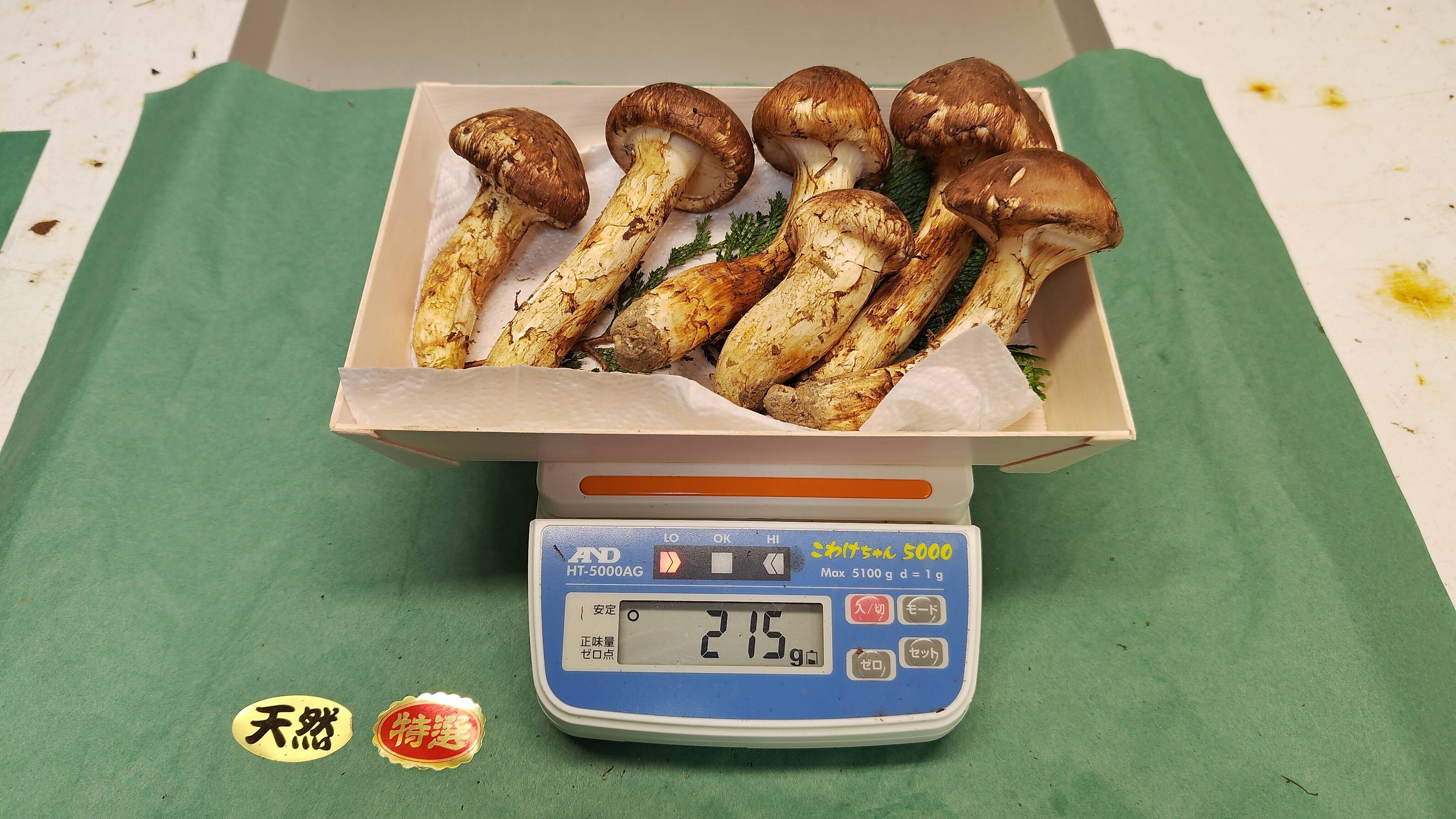 918aa004021cb4823a7ead2684007a