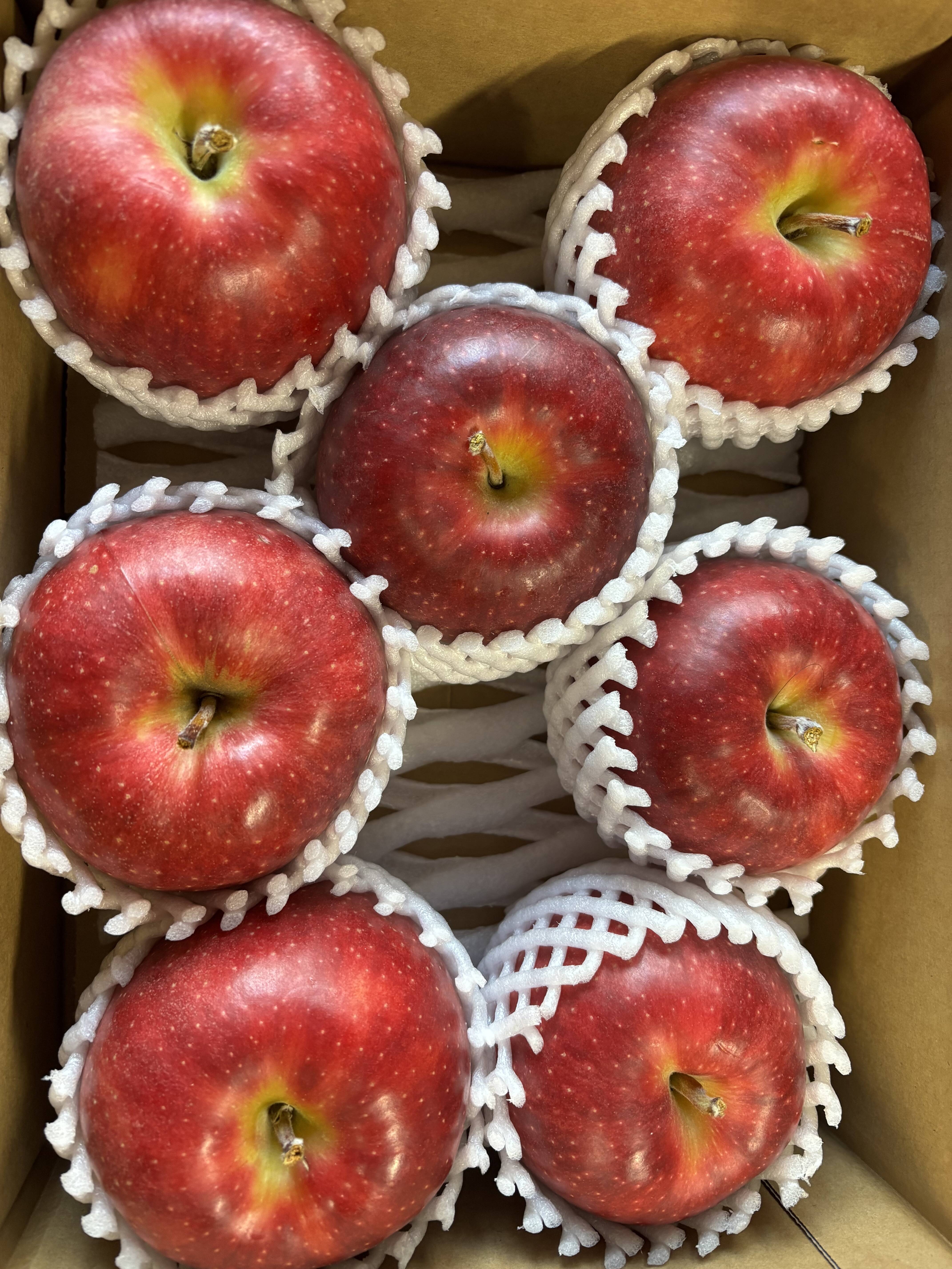 サンジョナゴールド（規格外品）2Kg6個から10個入り🍎：青森県