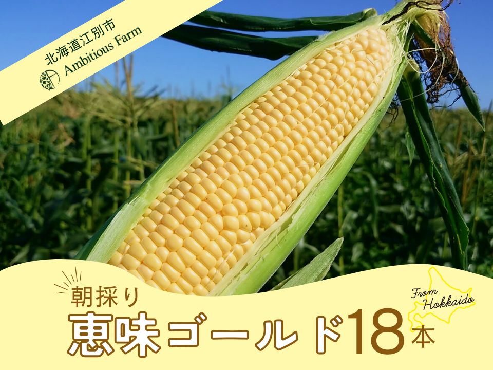 夏ギフト】///先行予約/2025年8月発送///届いたらまずはまる