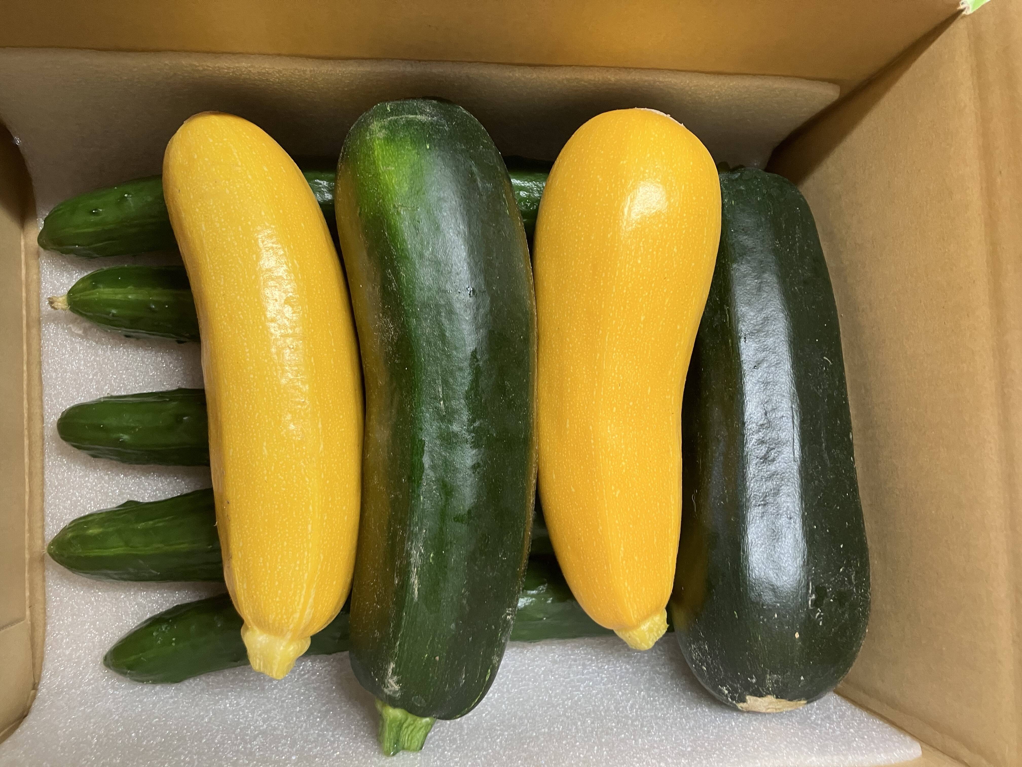 福島県伊達地方産】朝採れキュウリとつやつやズッキーニ＋旬野菜セット