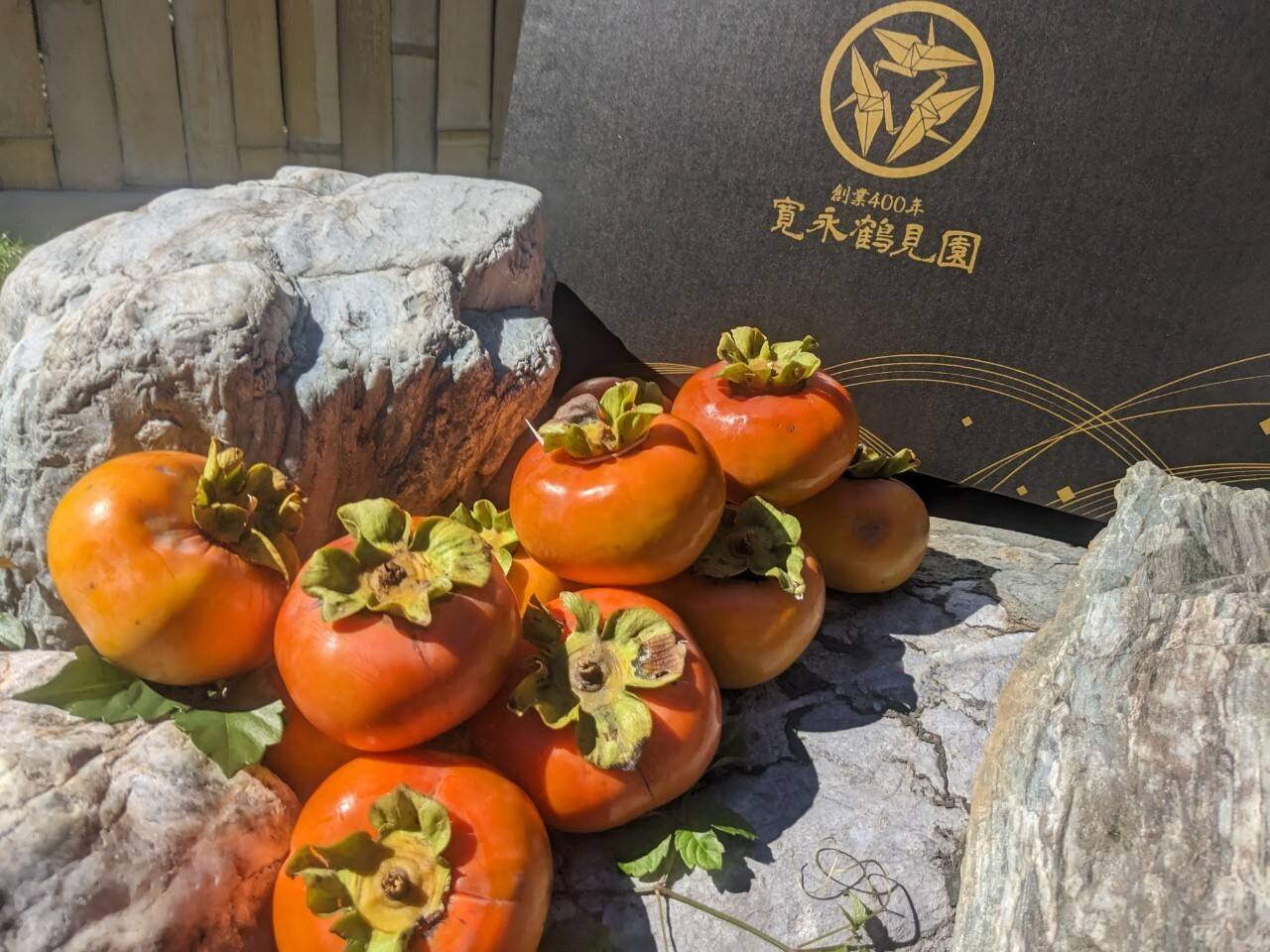 926062a20498bf26d121b21fc7b396