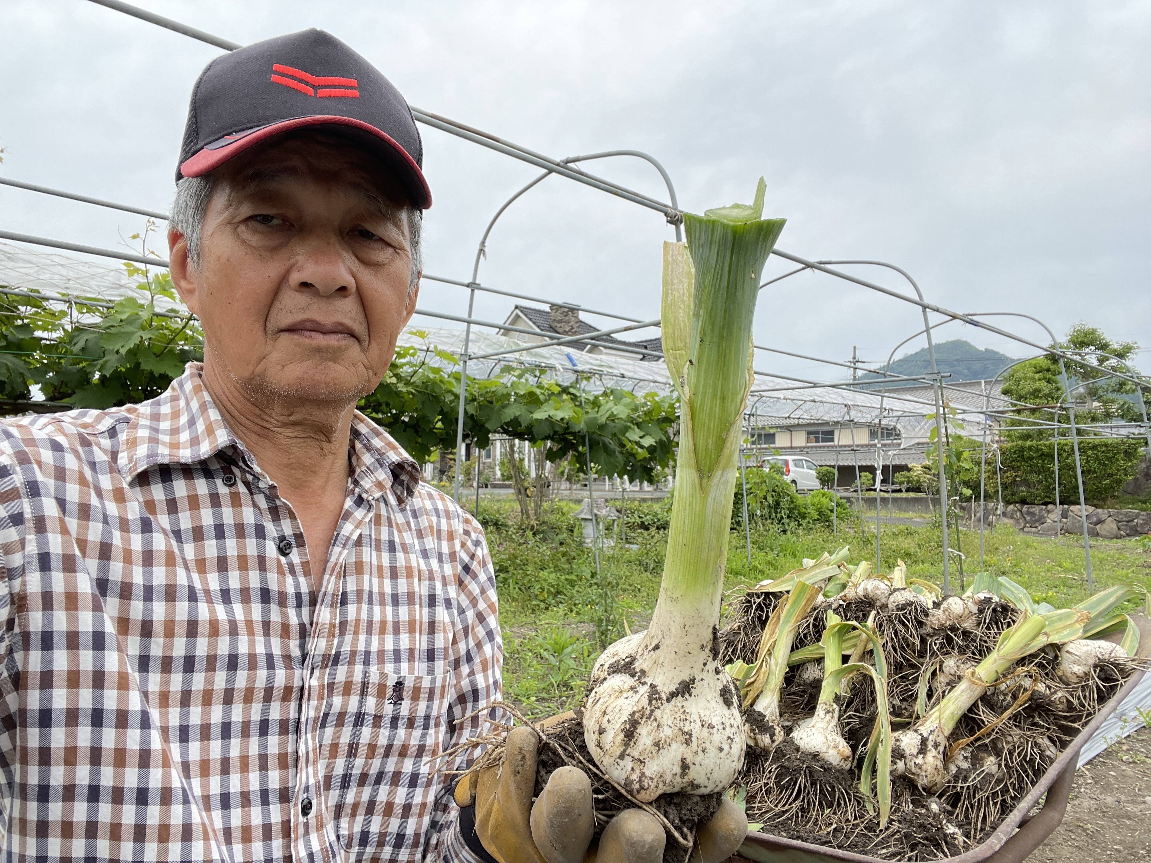 香り立つ丹波産ジャンボニンニク（1kg）