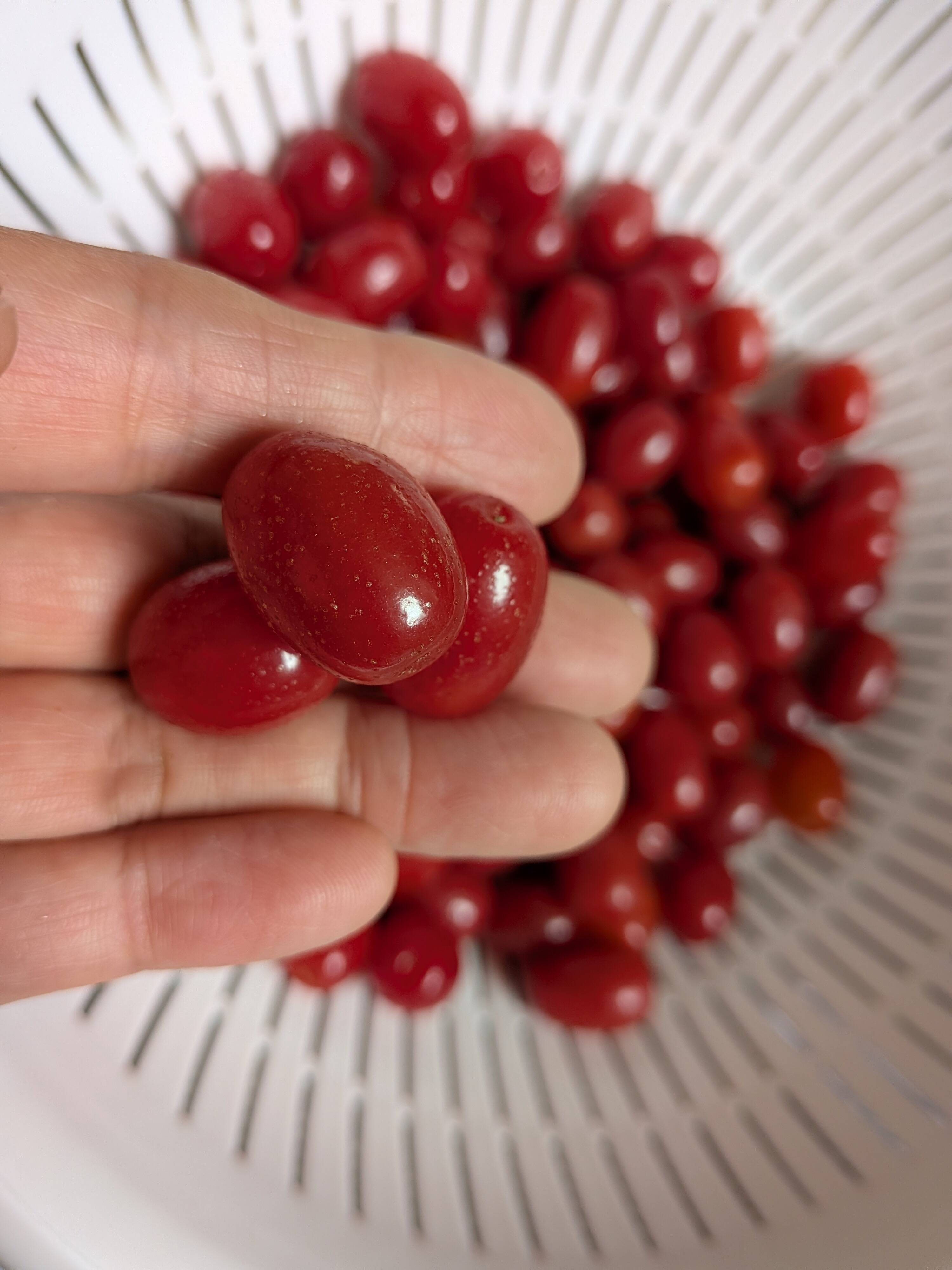冷凍☆グミの実☆グミの木の実☆30個入り🍒 冷凍便にてのお届けになり