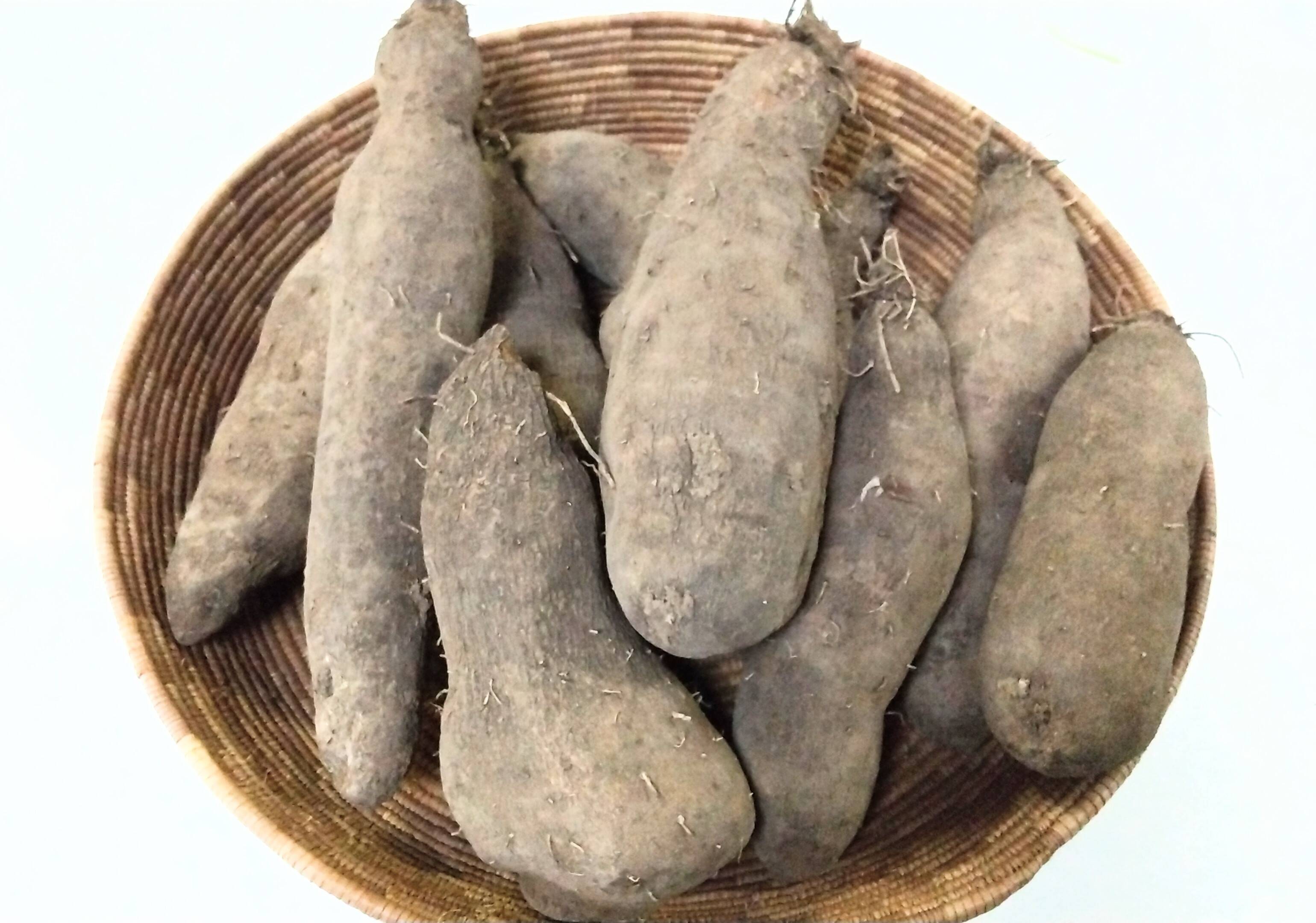 山芋 南国鹿児島の粘り気たっぷり！「山芋」ダイジョ 1kg：鹿児島県産の紫