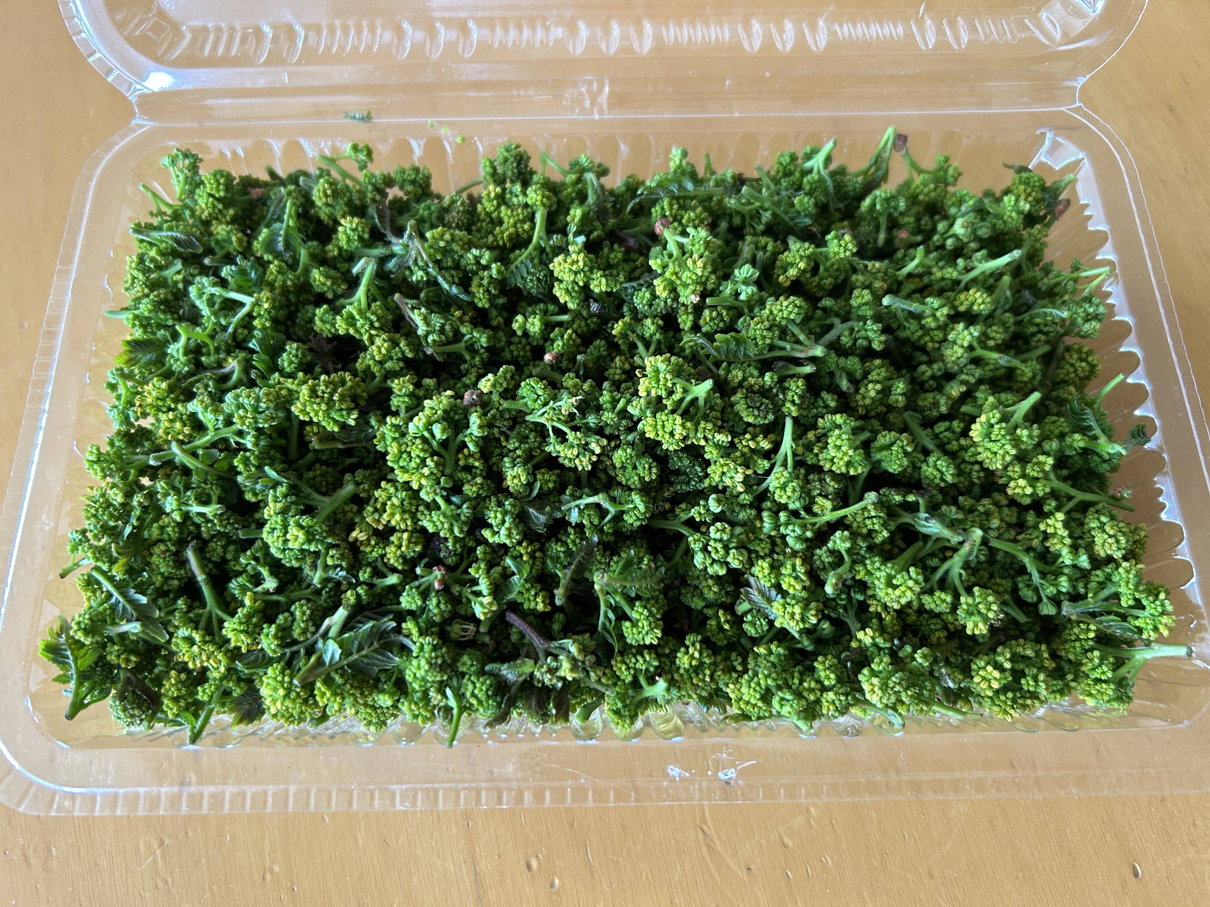 写真が現物の花山椒50g （かやぶきの里・ 京都・美山産 栽培期間中農薬