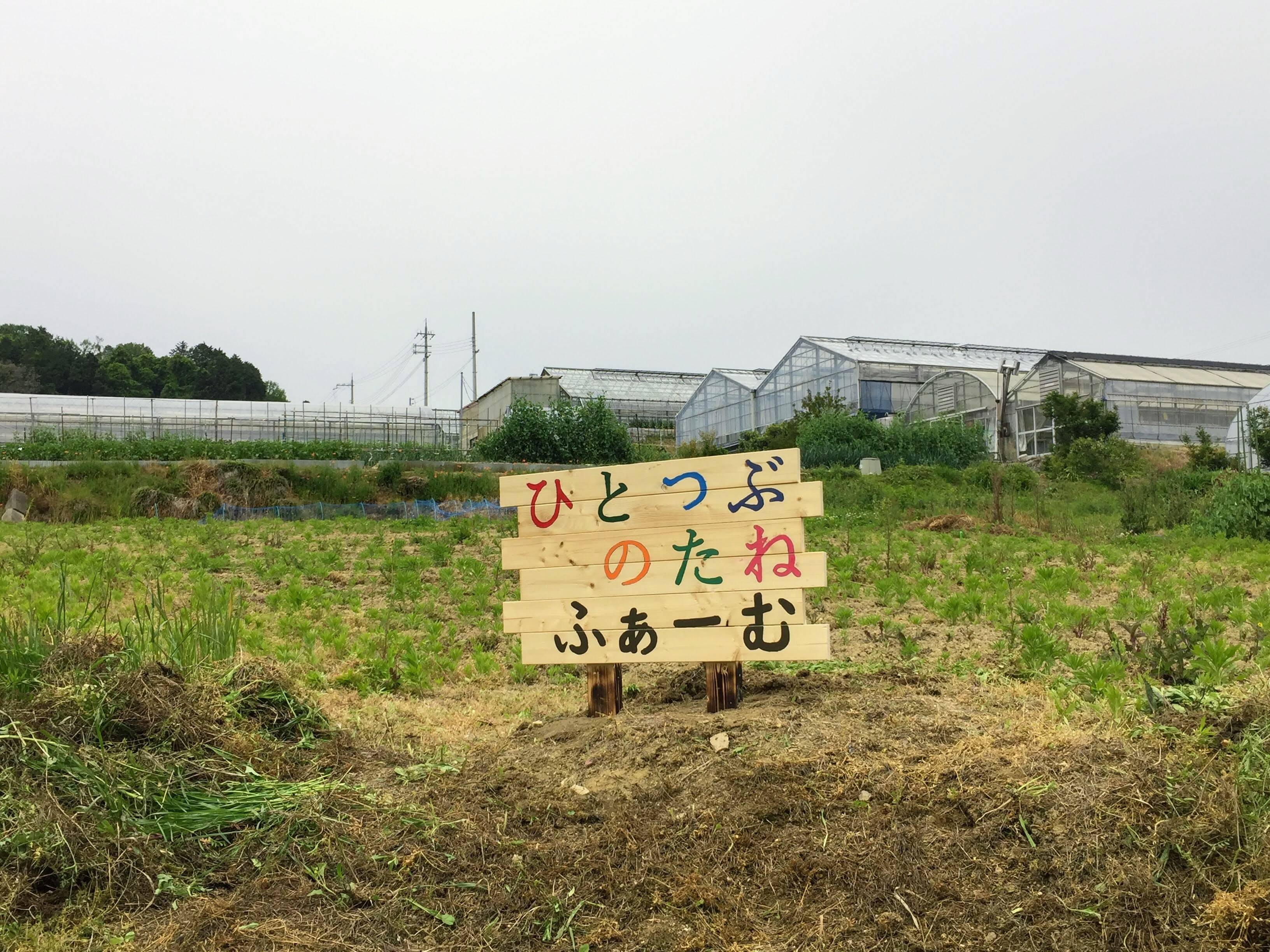 京都 坂ノ途中 野菜 おまかせセット 産地直送 | G-Callショッピング