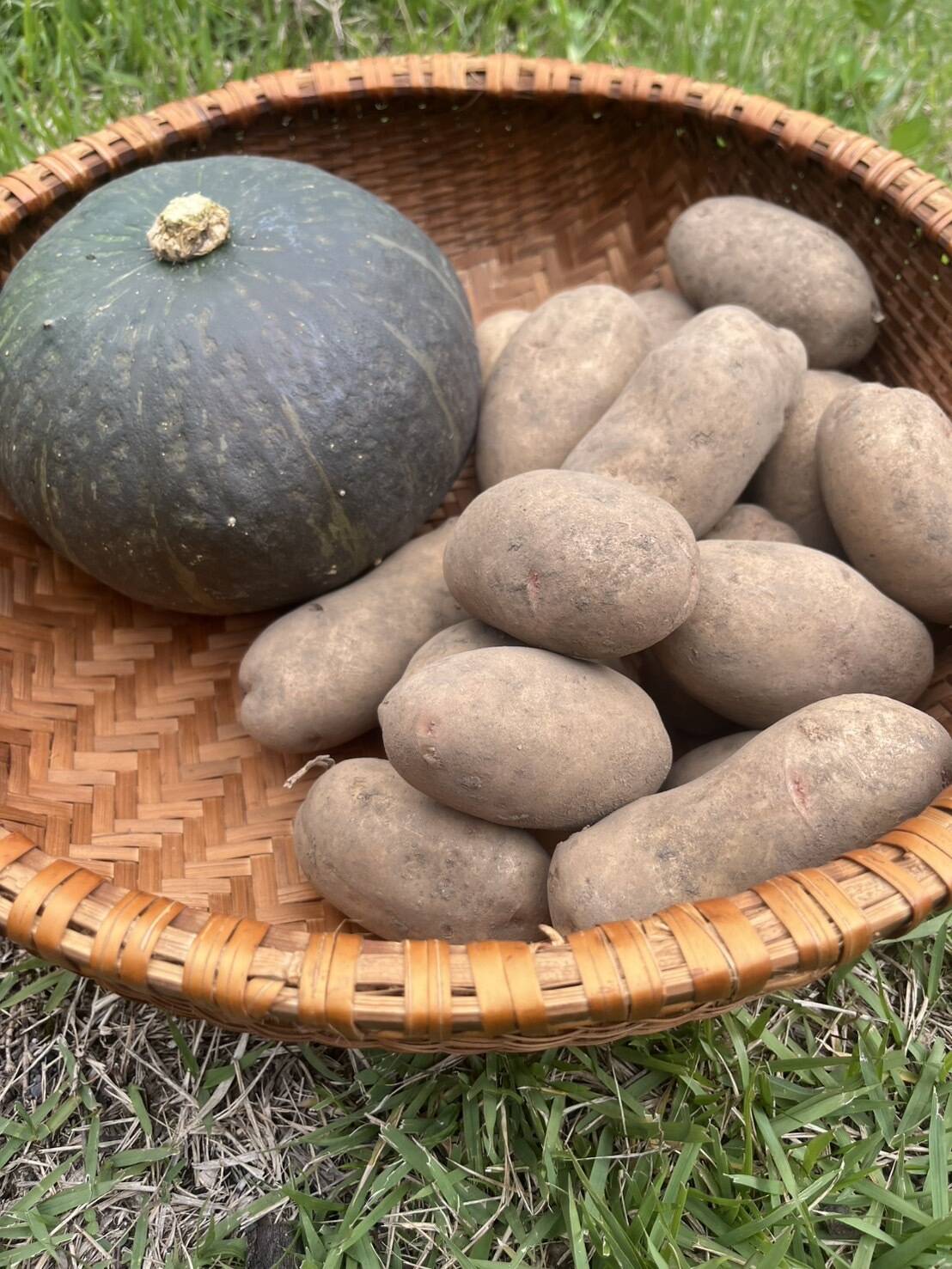 北軽井沢産】味が濃い！じゃがいも2種類（十勝こがね、はるか）+栗