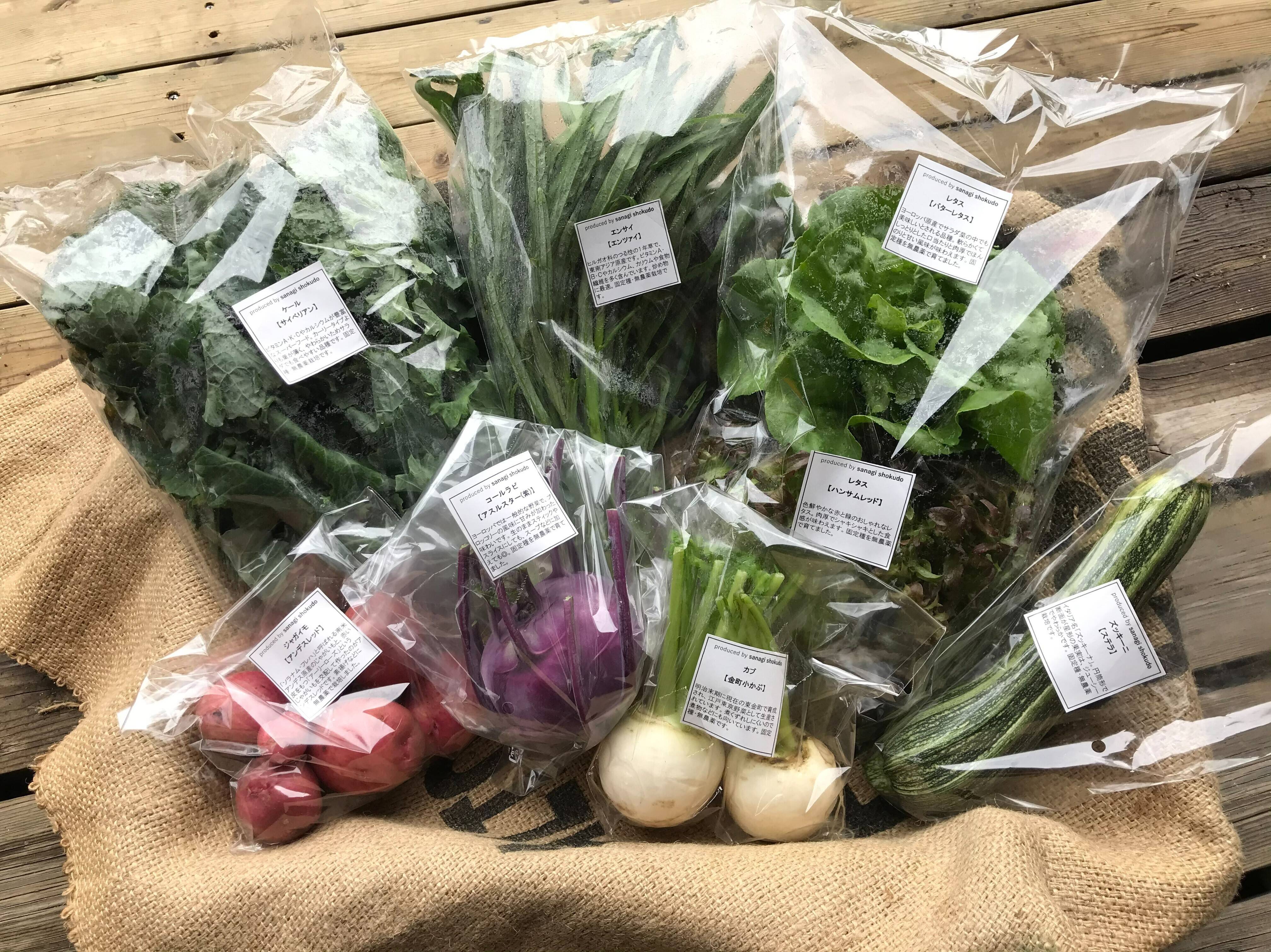 ご予約受付中】地域循環！季節の野菜詰め合わせ（固定種・農薬不使用