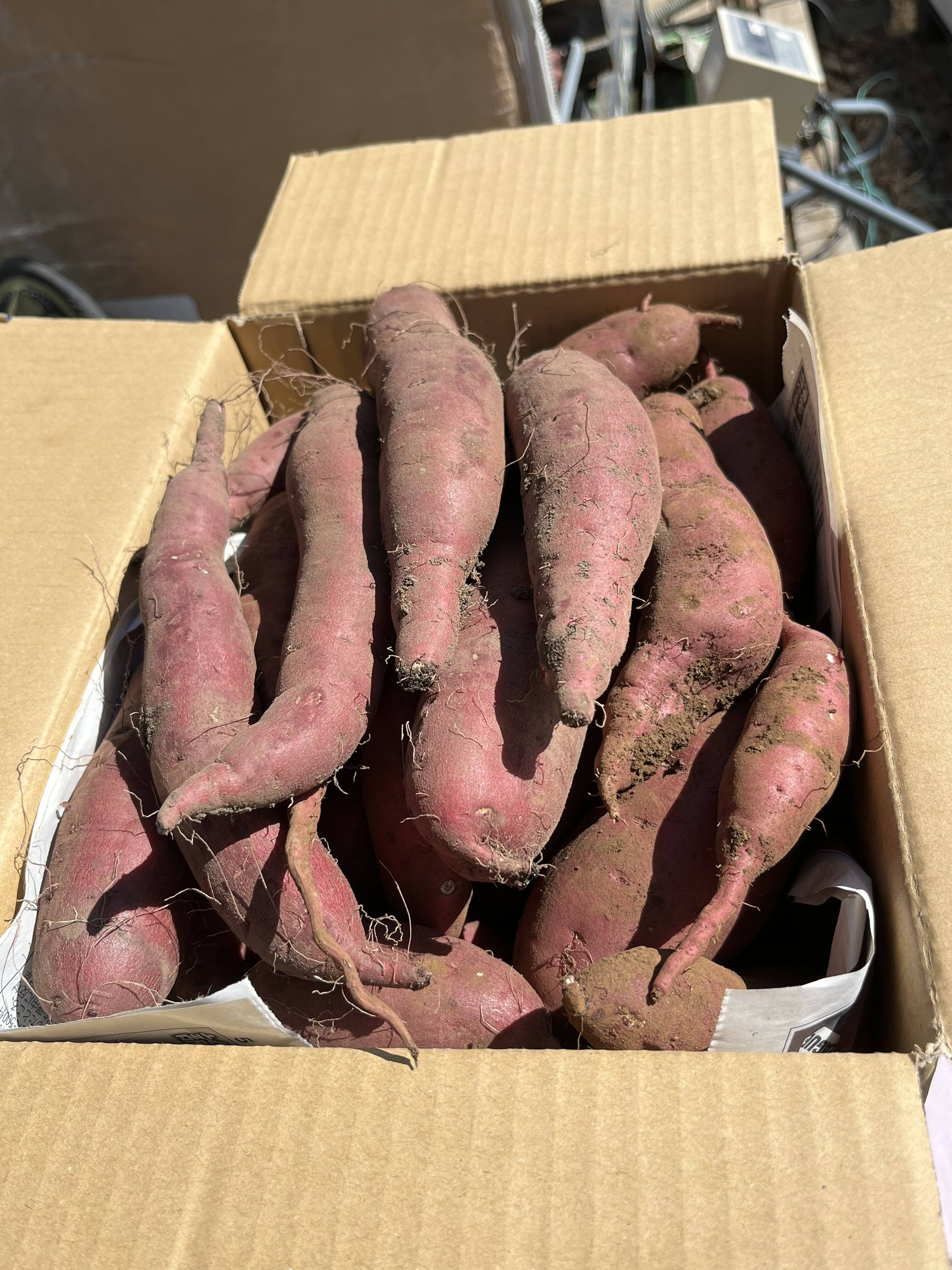 さつまいも】【紅はるか】【20kg】【¥8000】：長野県産のべに
