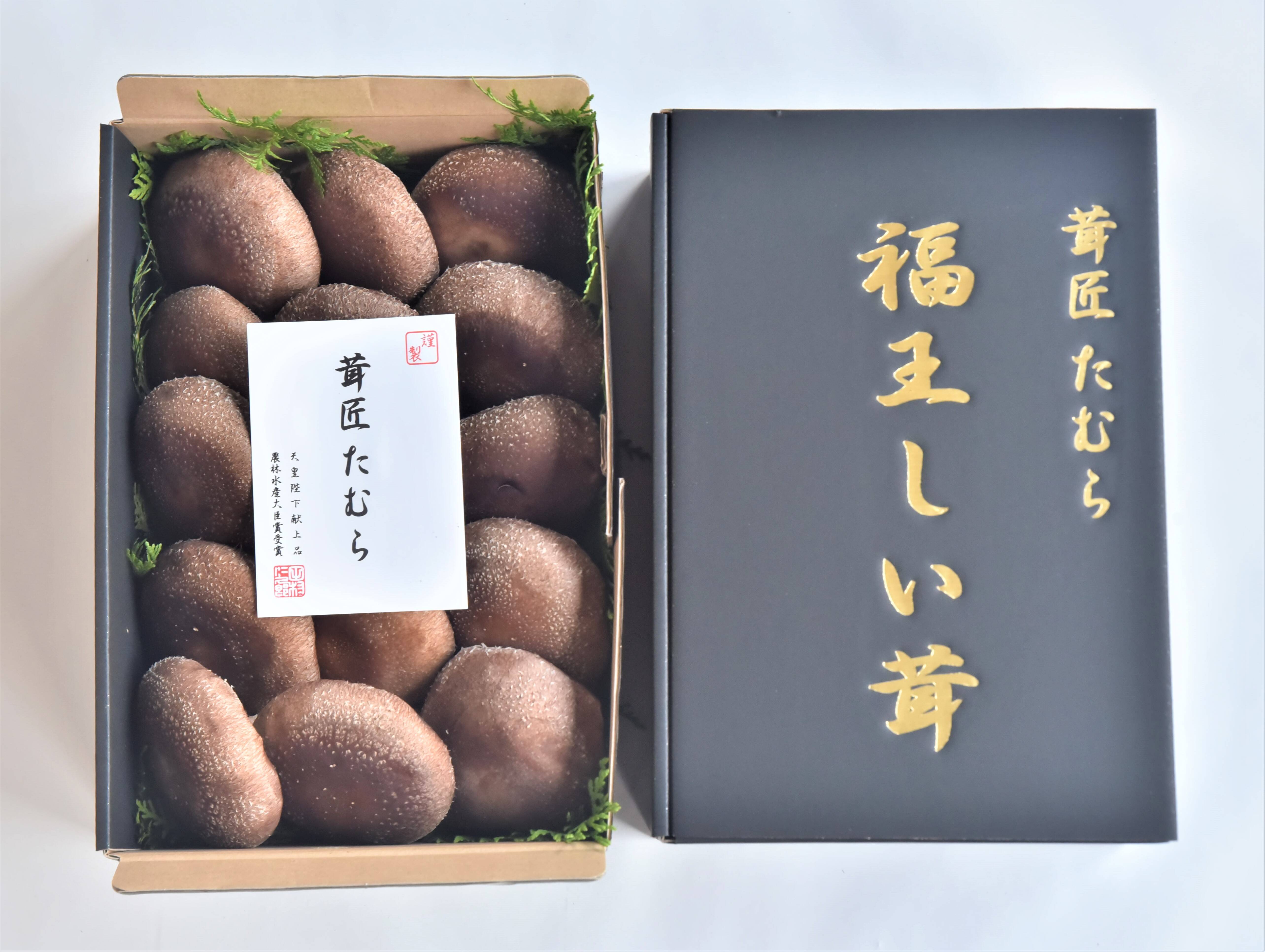 大きさと旨味が自慢】福王しいたけ（特大サイズ1.4kg）：茨城県産の