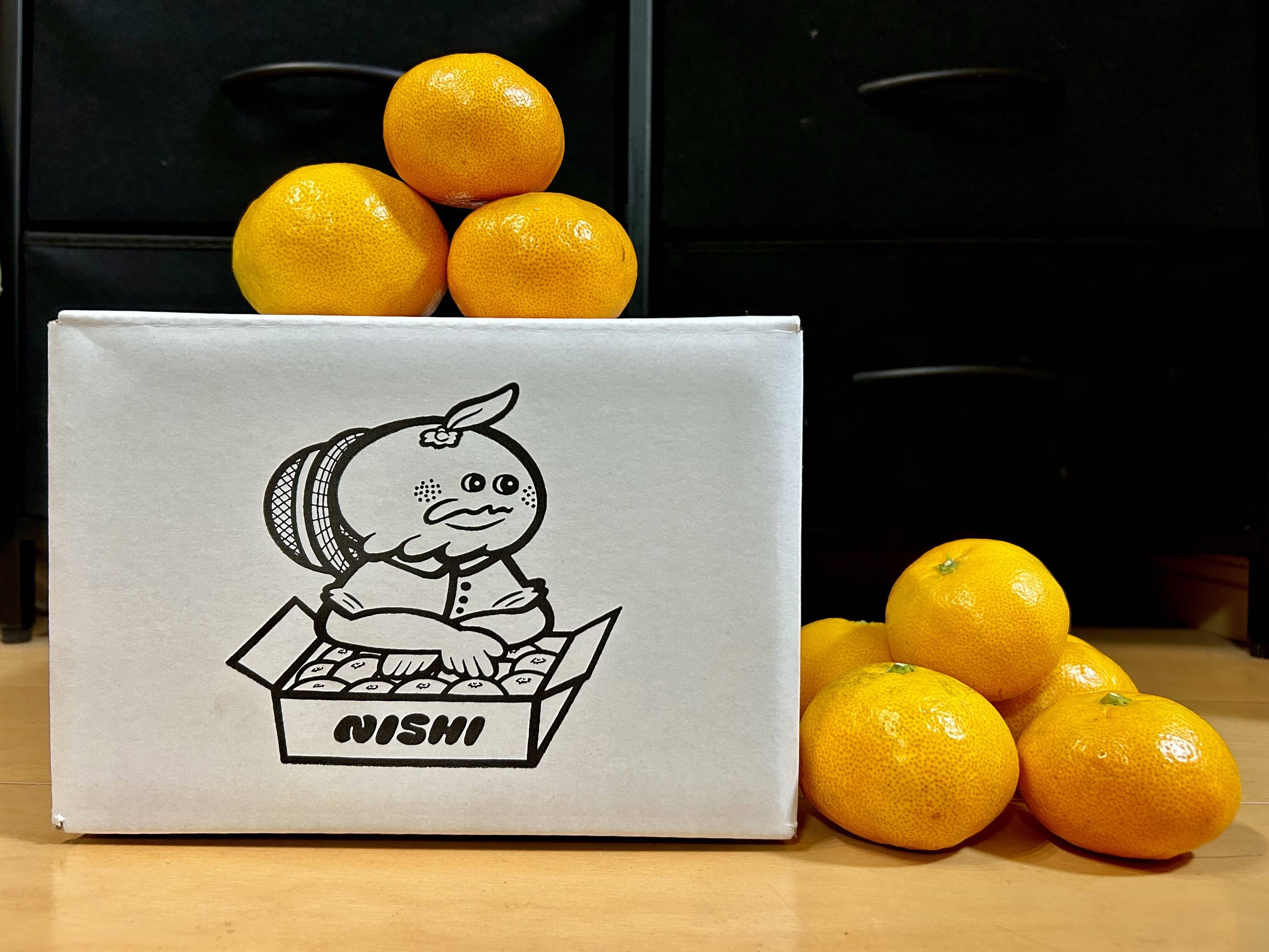 甘み＆食べやすさ】の二刀流！西果樹園みかんの代表格！西幸みかん