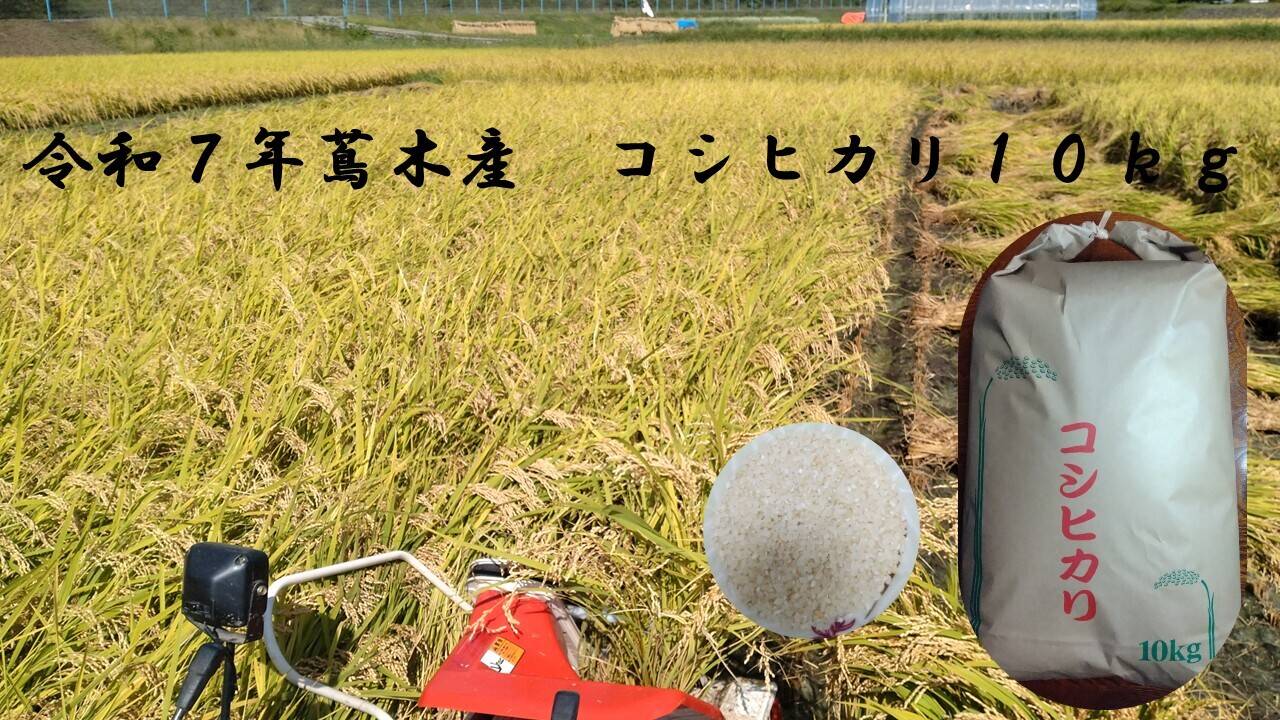 令和7年産 長野県富士見町蔦木産コシヒカリ 10kg：長野県産の