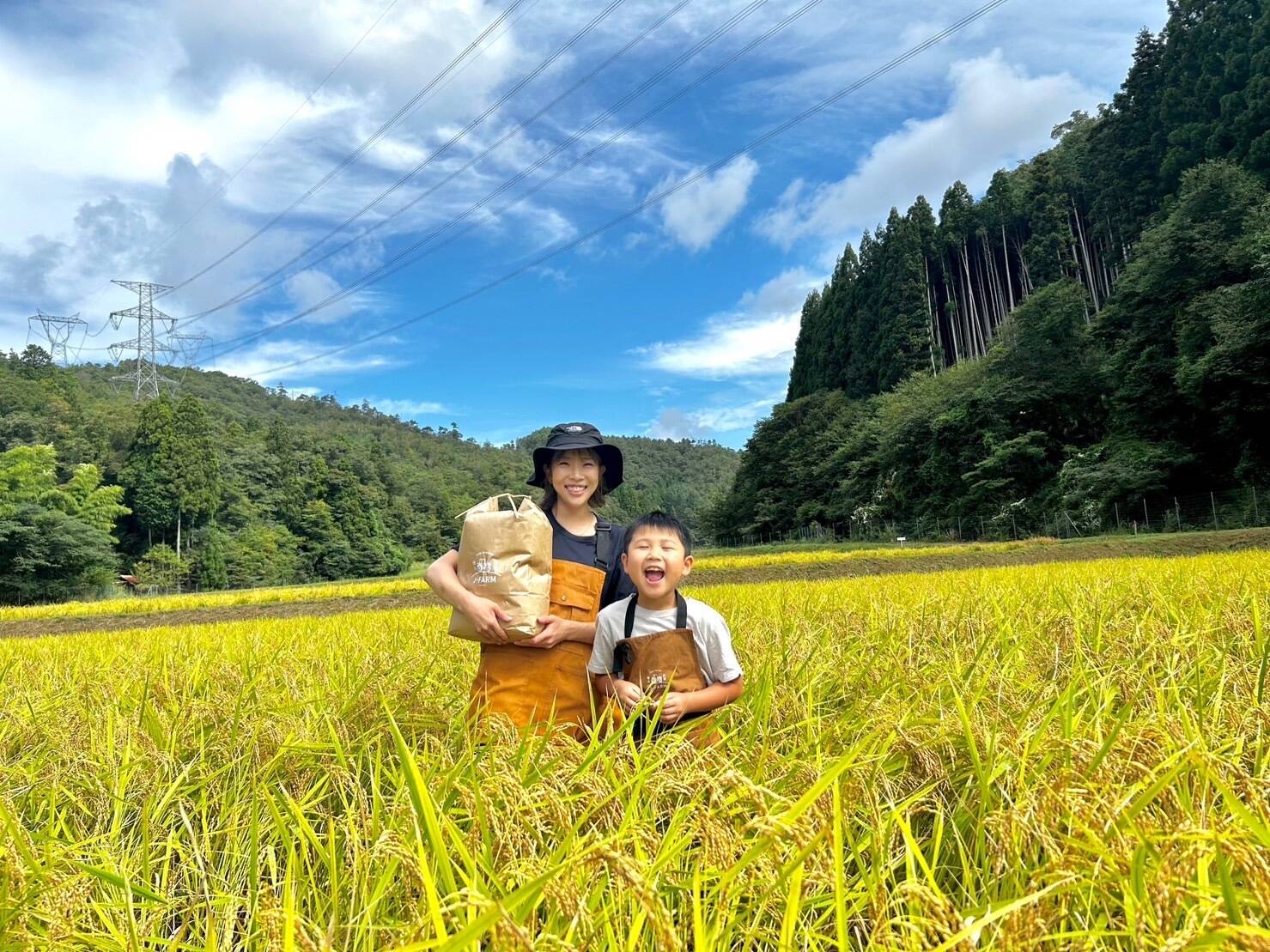 新米！】丹波篠山産 コシヒカリ 30kg：兵庫県産のコシヒカリ｜食べ