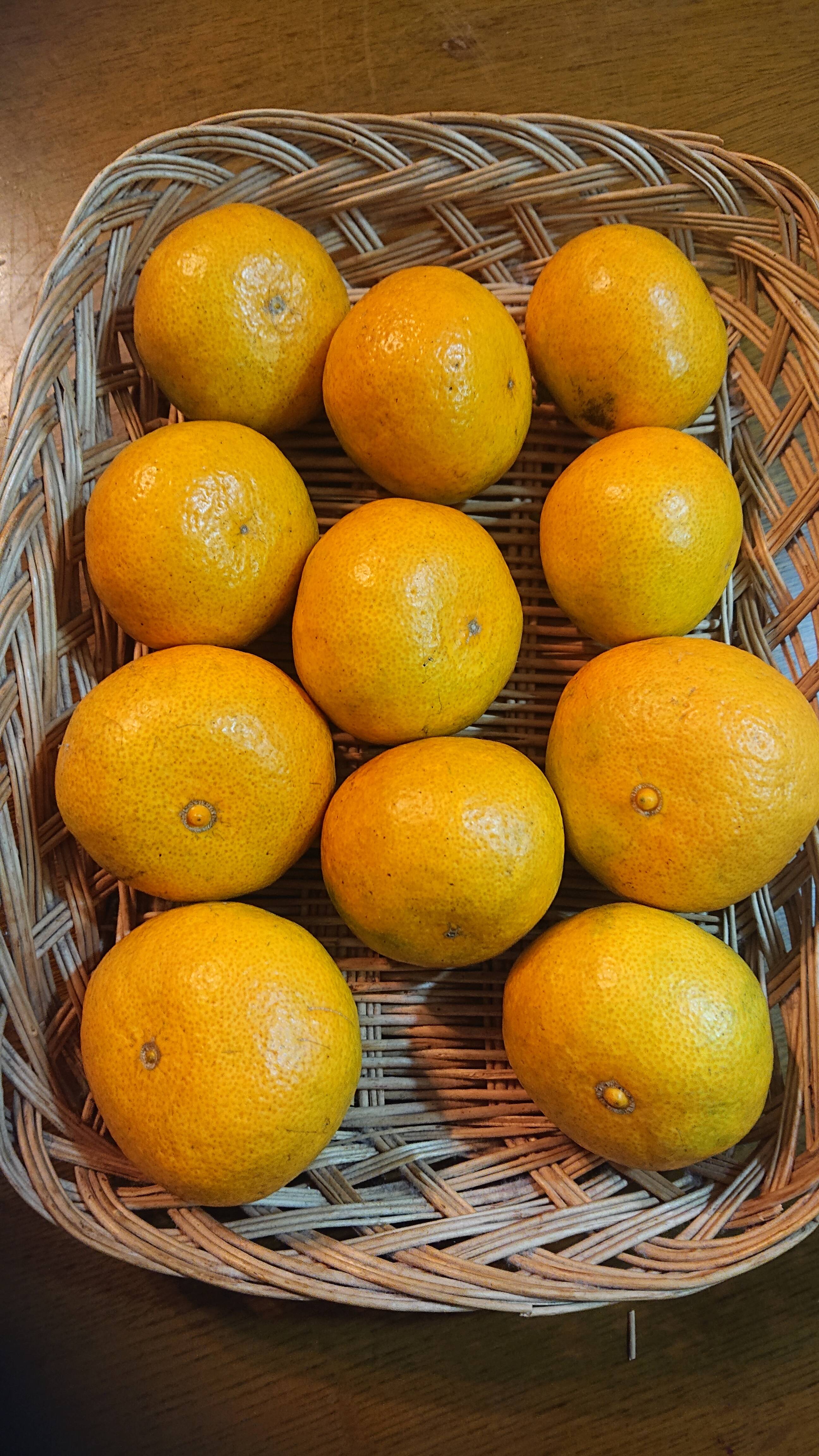 みかん みかん【温州みかん】 1800g入り（14～20個）【農薬不使用