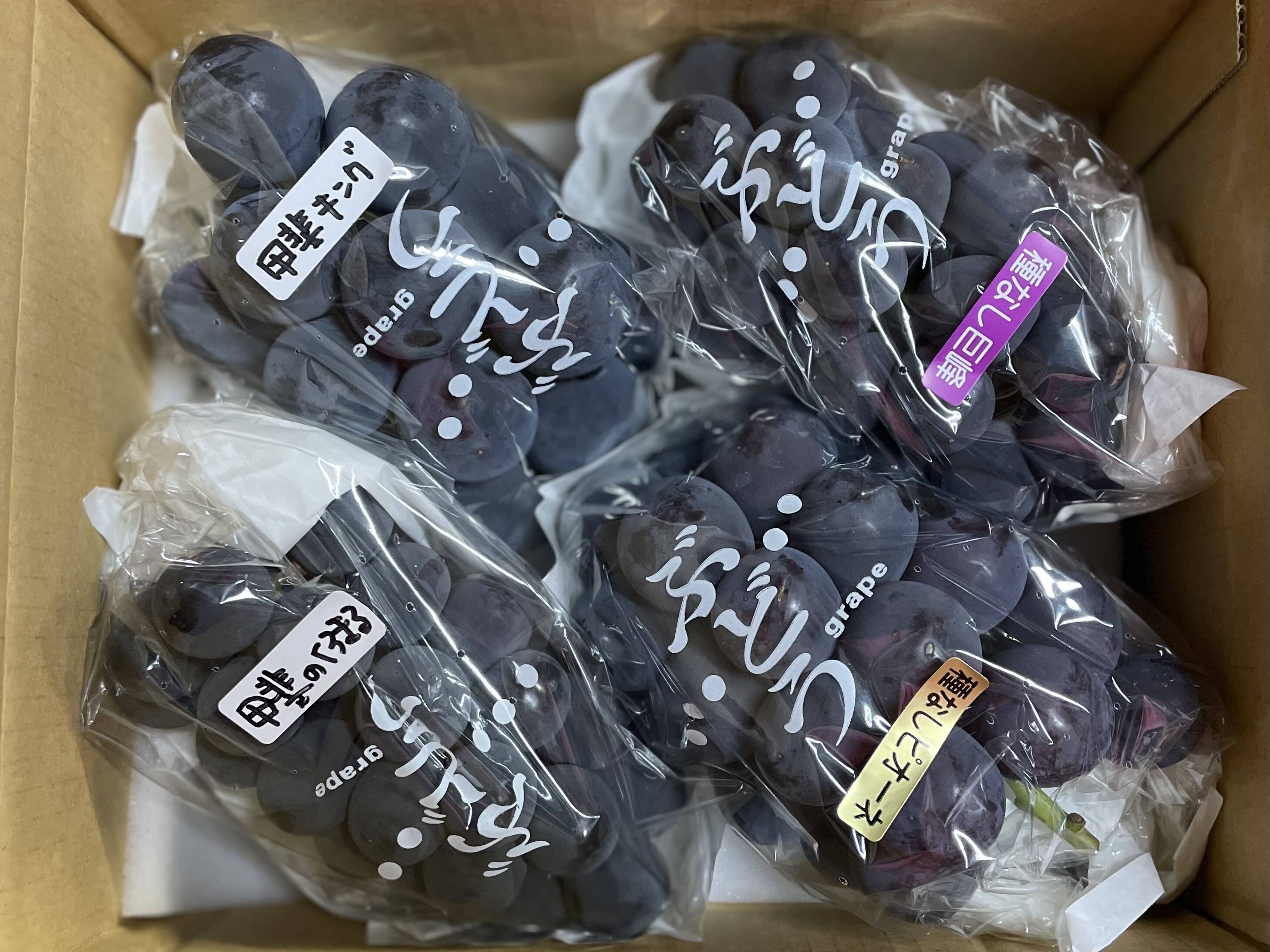 ♡様確認用　山梨県産　ブラックキング　約6キロ 山梨県産ブラックキング グミ | 商品ラインナップ紹介