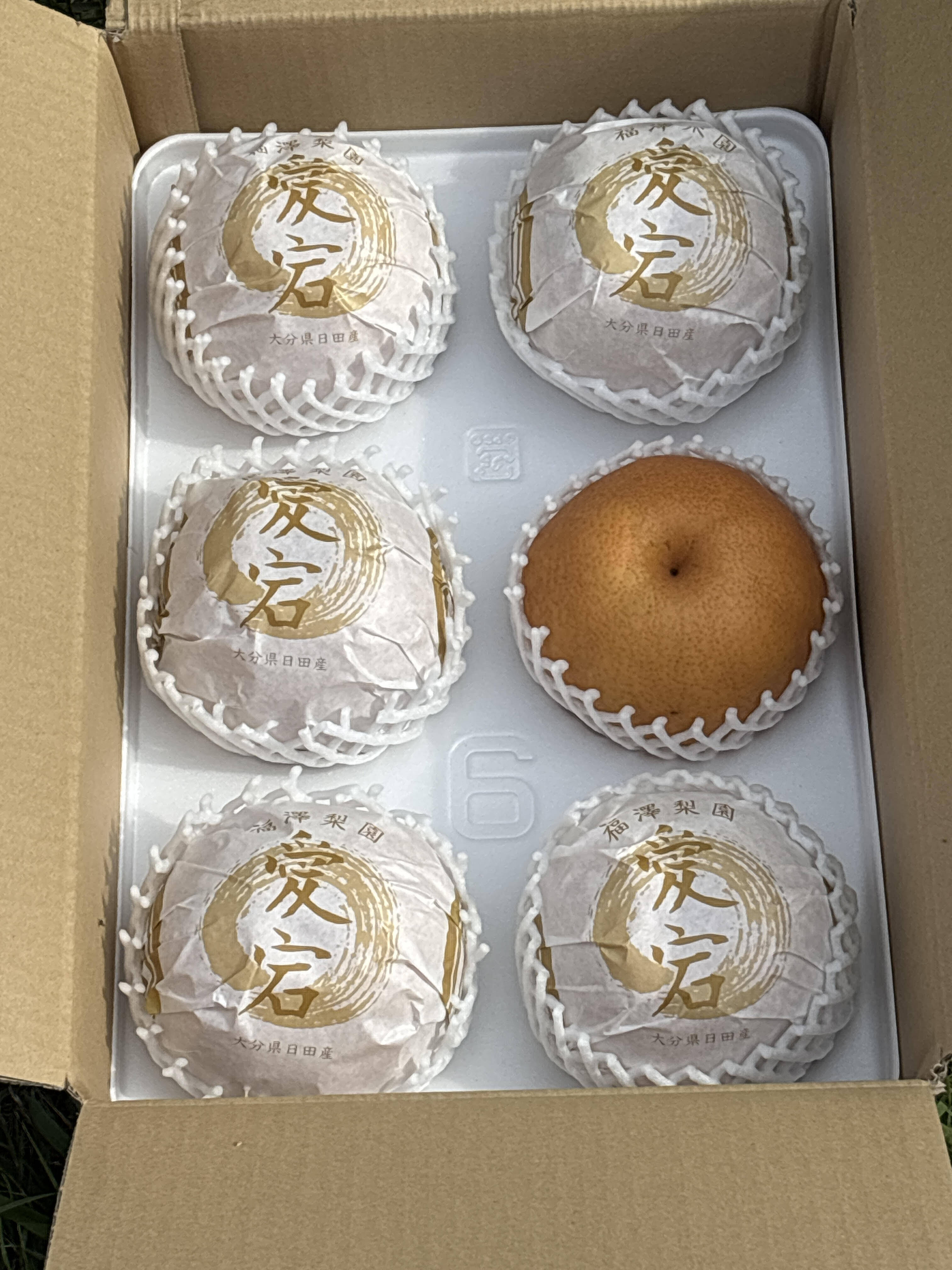 ほのかな香りに芳醇な甘さ 愛宕梨 大玉 約5kg：大分県産の愛宕梨