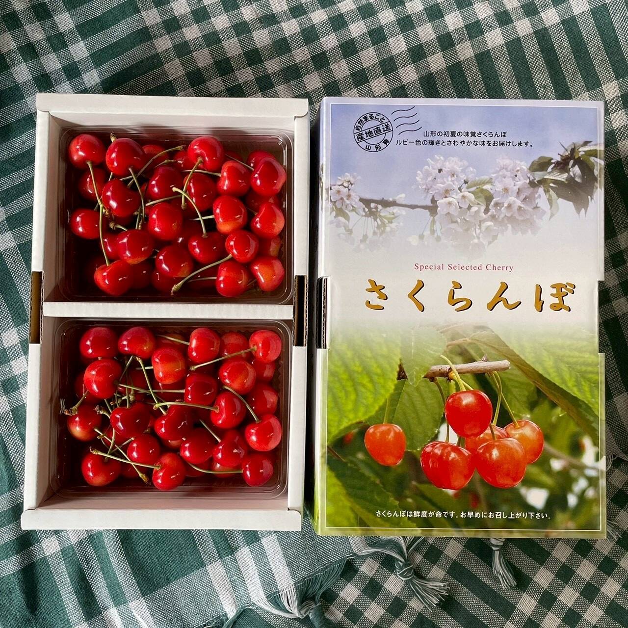 紅王　2L1kgさくらんぼ 2パックセット クール便専用 感謝SALE】やまがた紅王🍒さくらんぼ新品種！パックバラ1kg2Lサイズ