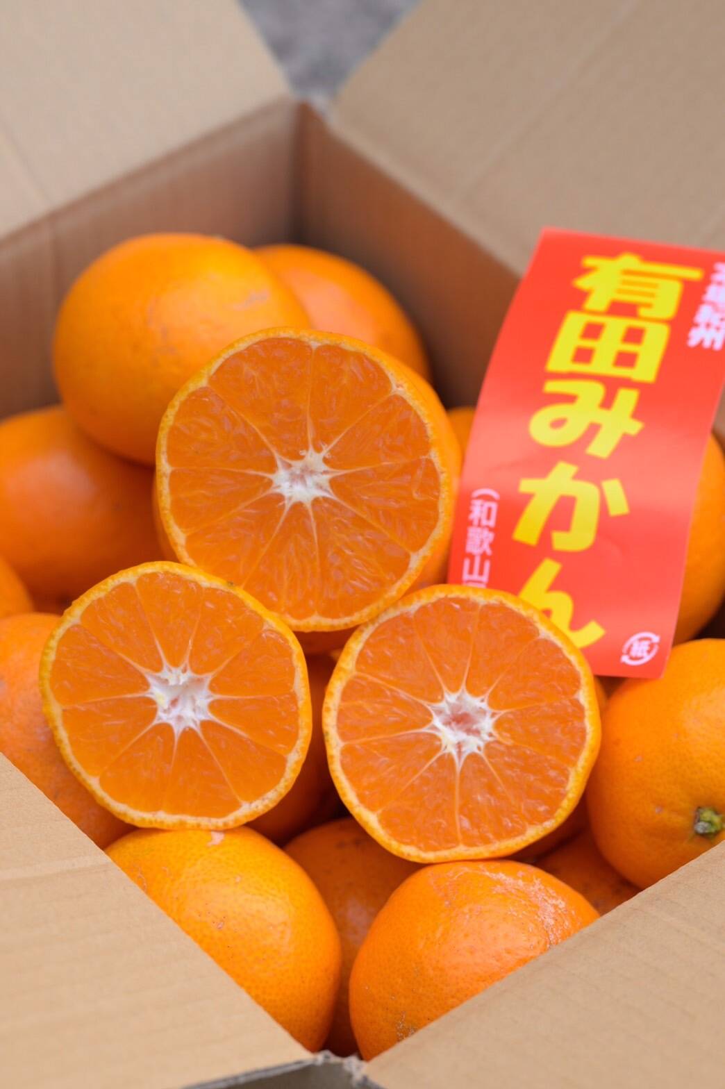 数量限定!早い者勝ち】『ちびたまみかん』有田みかんちびサイズ 箱込約