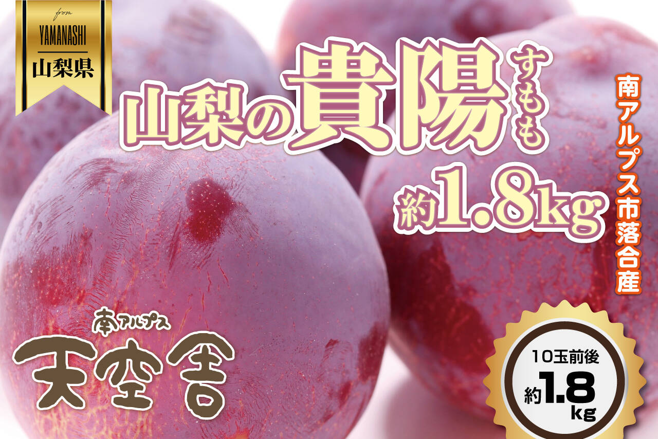 7月収穫・お中元期】の山梨県南アルプス落合産すもも・貴陽【1 7月収穫・お中元期】の山梨県南アルプス落合産すもも・貴陽【1