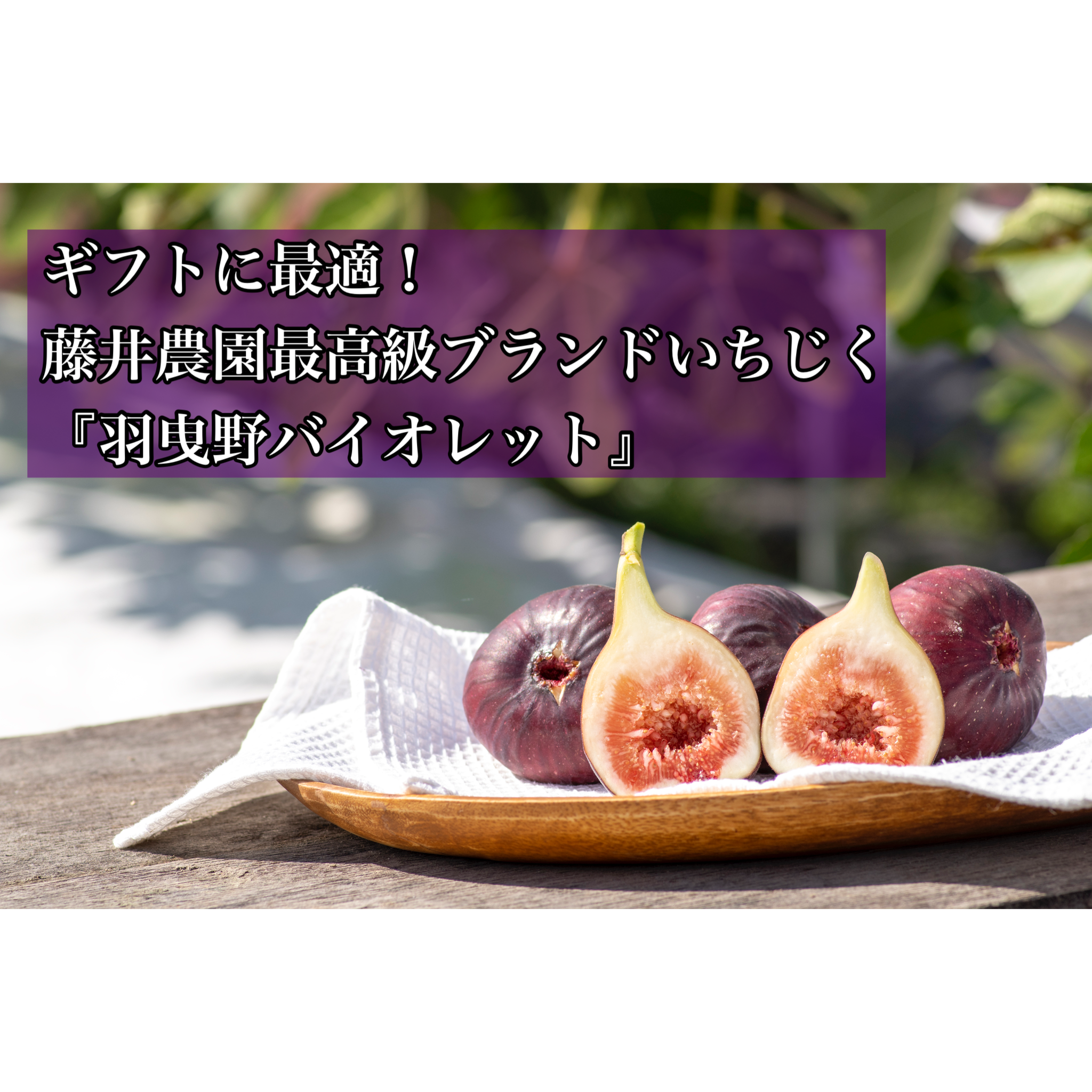 ギフトに最適 藤井農園最高級ブランドいちじく 羽曳野バイオレット 9個or12個入り 大阪府産 食べチョク 農家 漁師の産直ネット通販 旬の食材を生産者直送