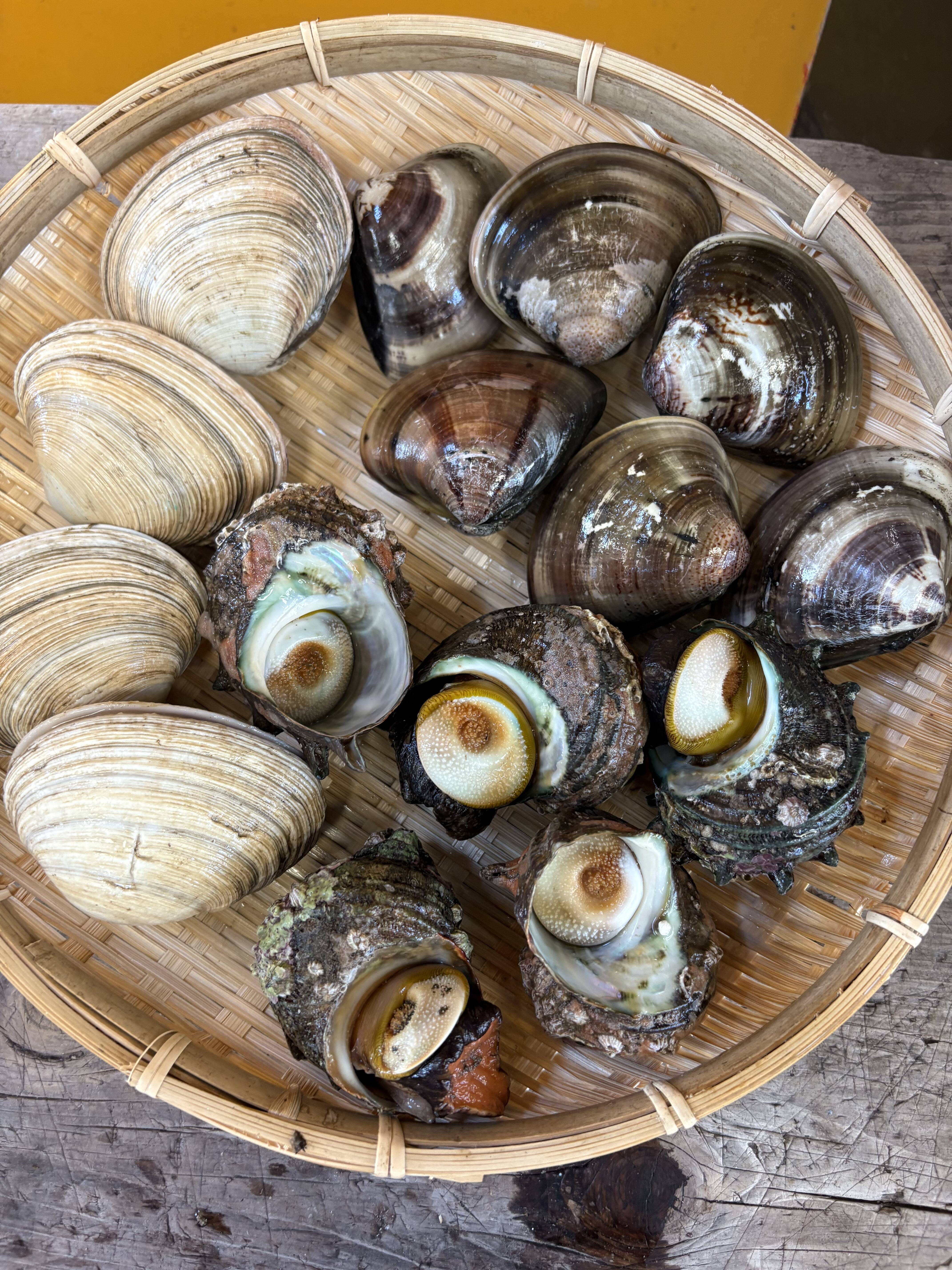 豪華貝類バーベキューセット：愛知県産のあさり｜食べチョク｜産地直送