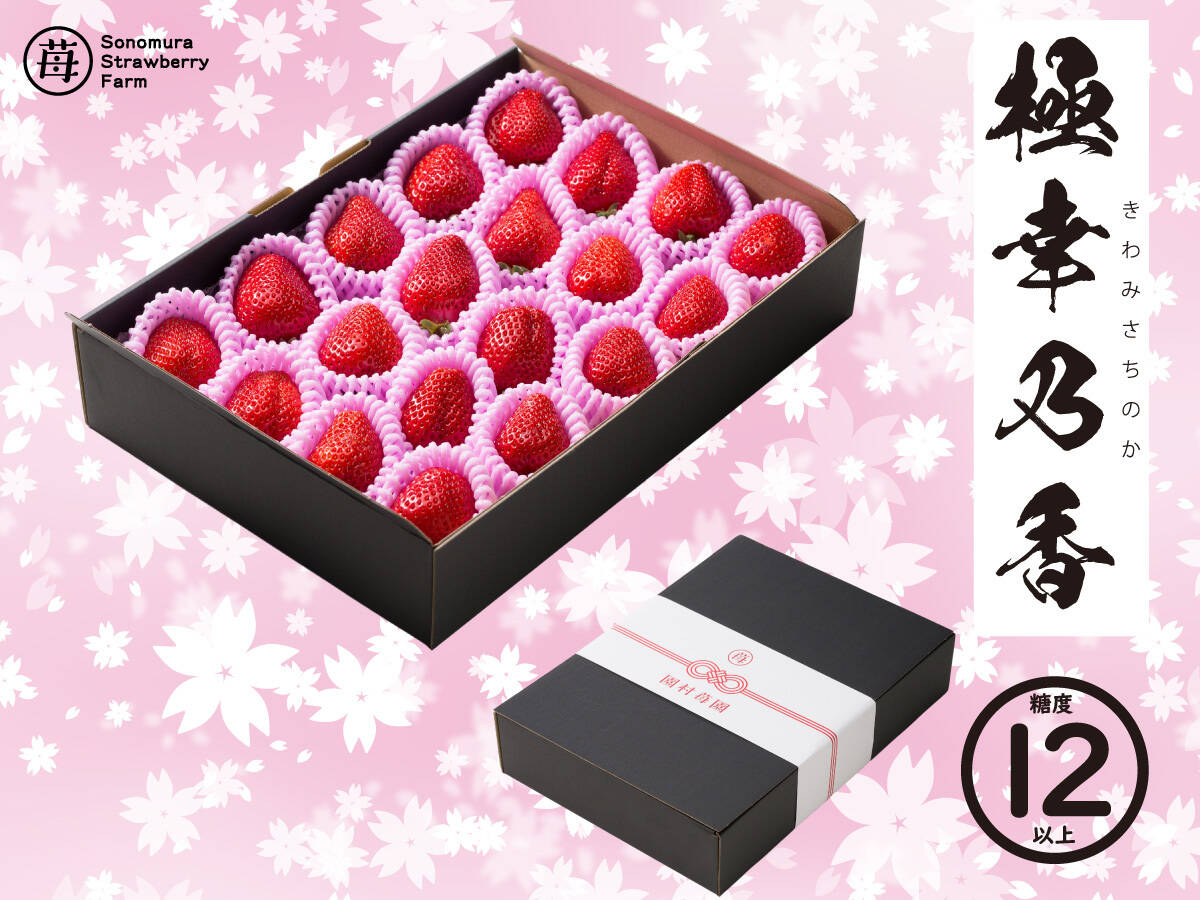 ☆糖度12度以上保証☆ 【ギフト対応可】極幸乃香（きわみさちのか