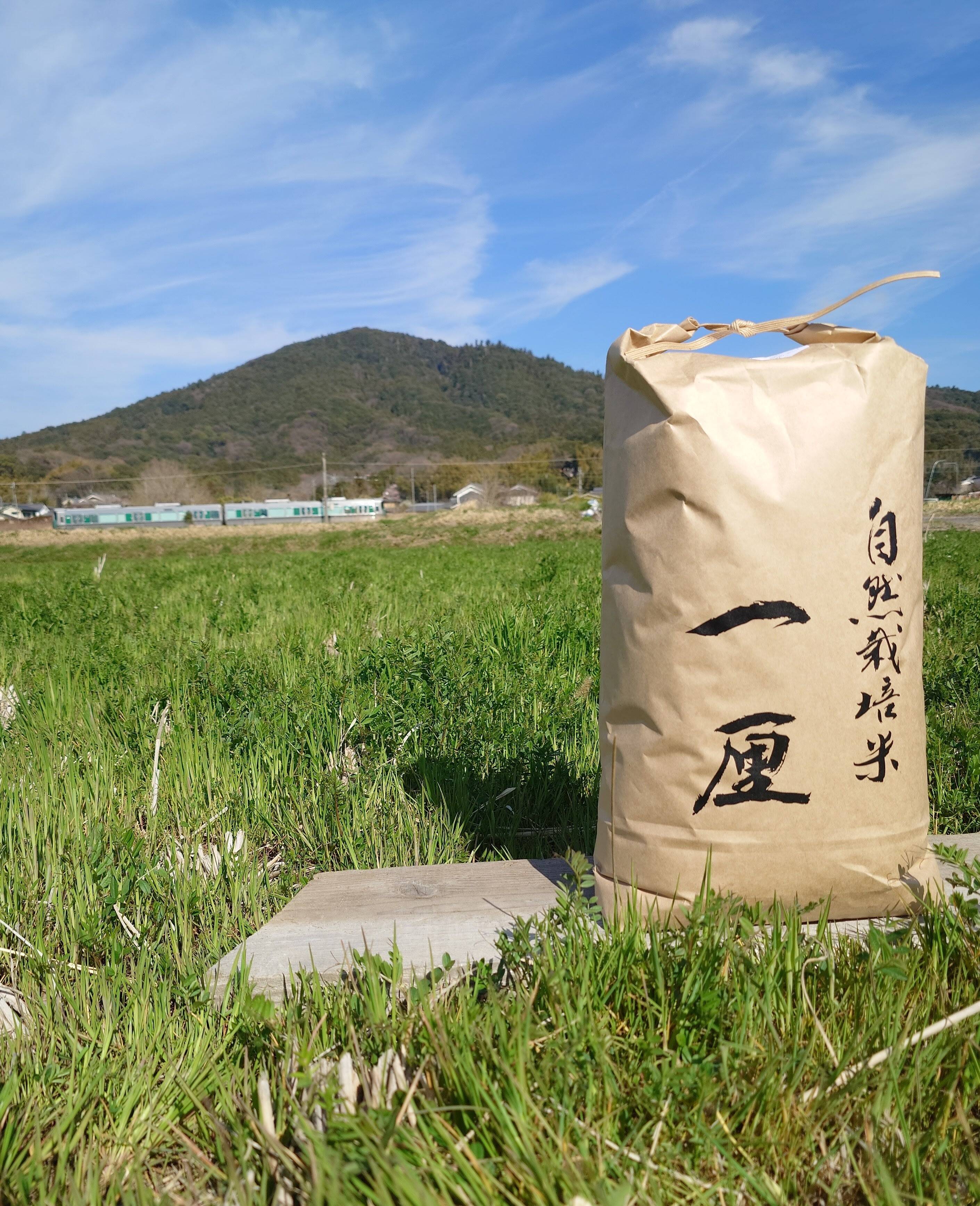 自然栽培米 一厘（いちりん） S 玄米10kg1袋：奈良県産のお米