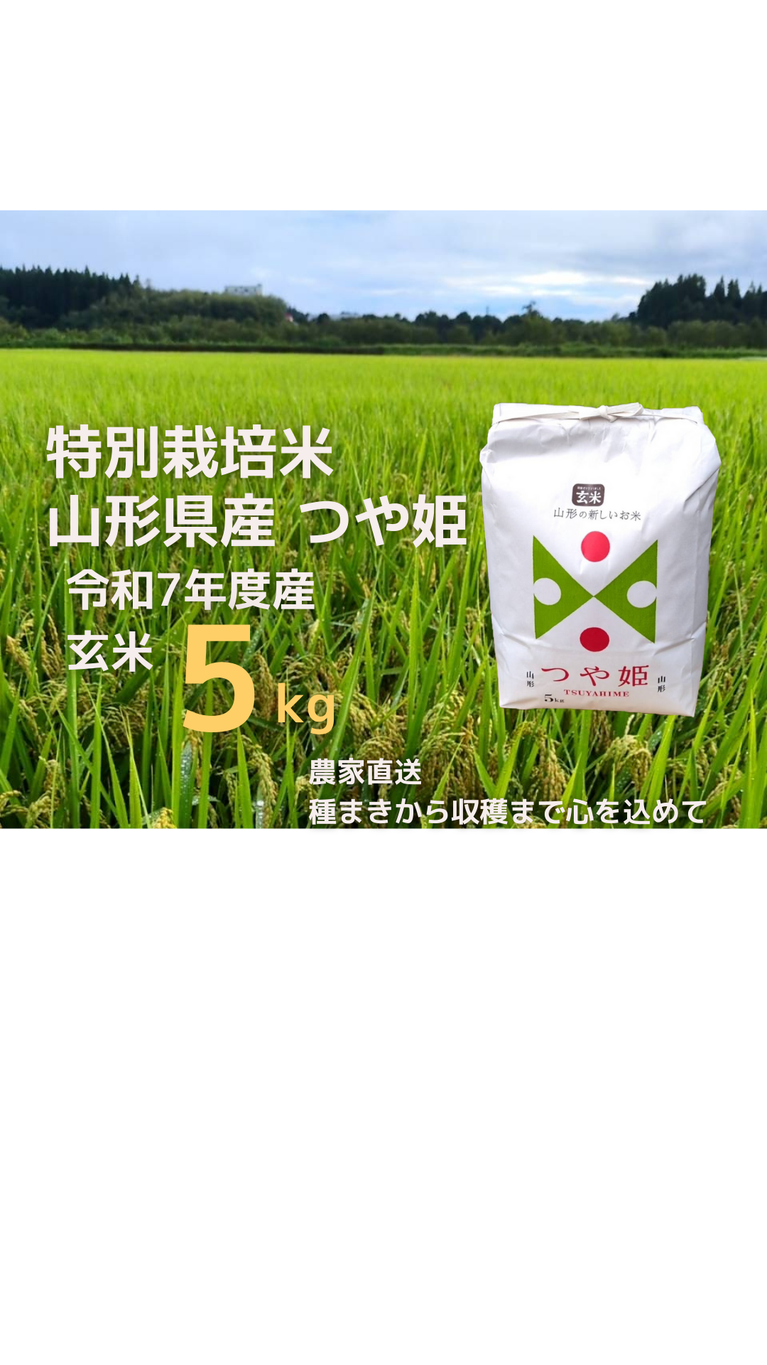 令和7年新米】特別栽培米つや姫玄米5kg：山形県産のお米｜食べチョク