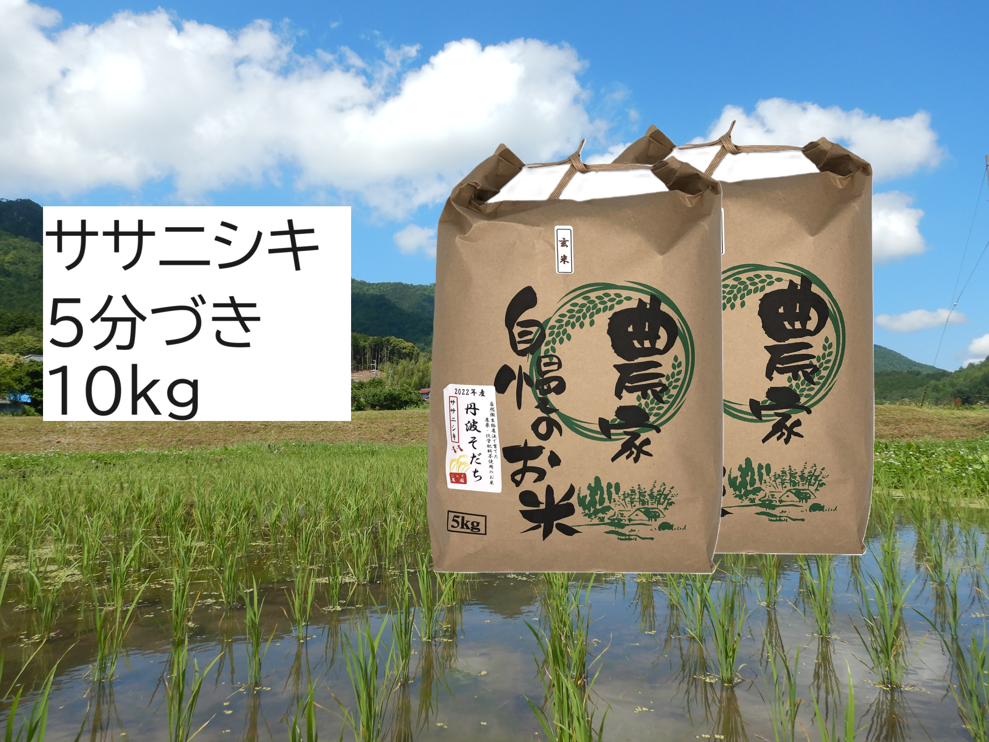自然栽培米　ササニシキ10kg 山梨県産 新米・2026年産】自然栽培米『ササニシキ』5分づき10kg：兵庫県産の