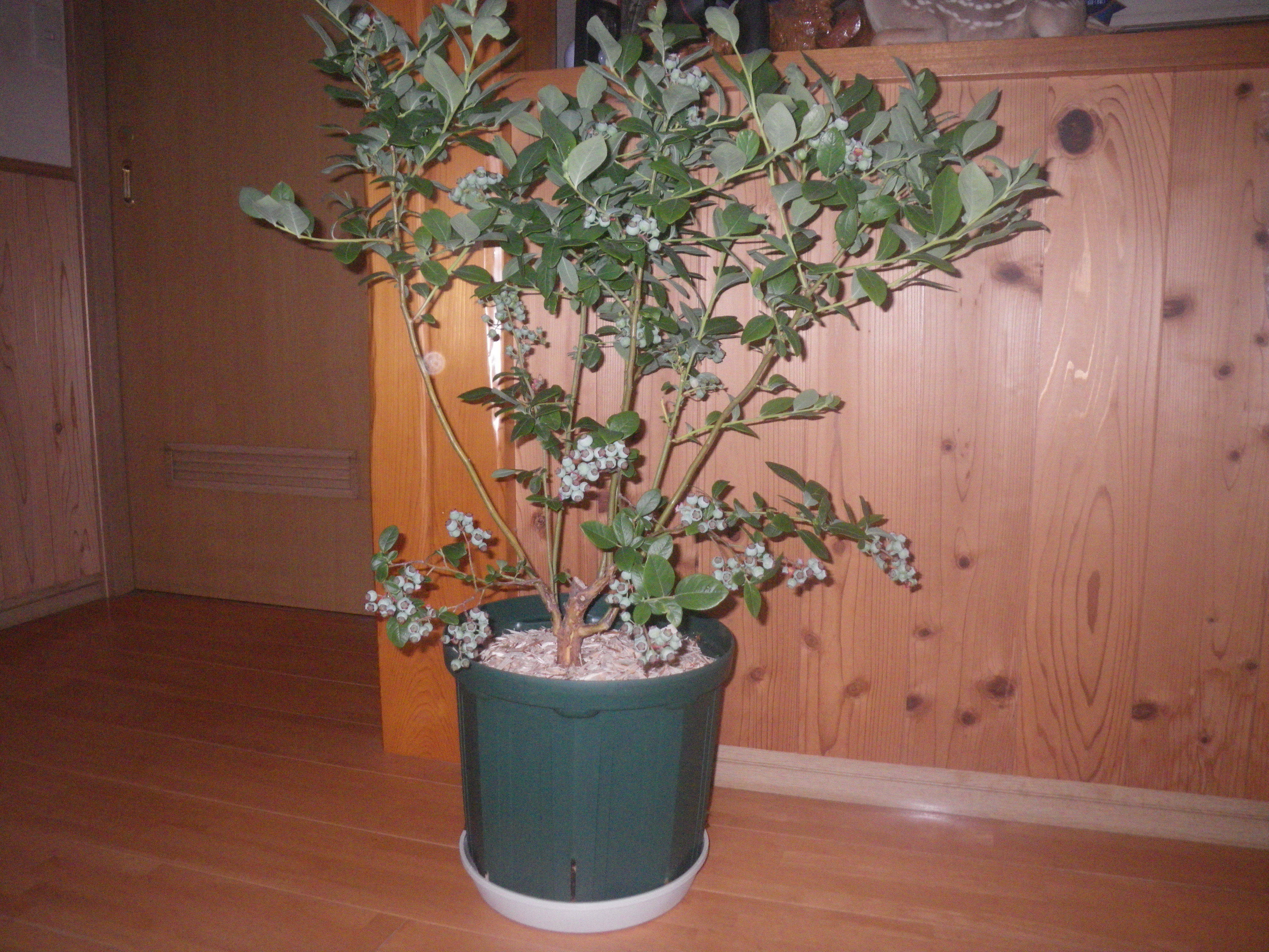 9601fff48e66ff6a6858e611f752b5