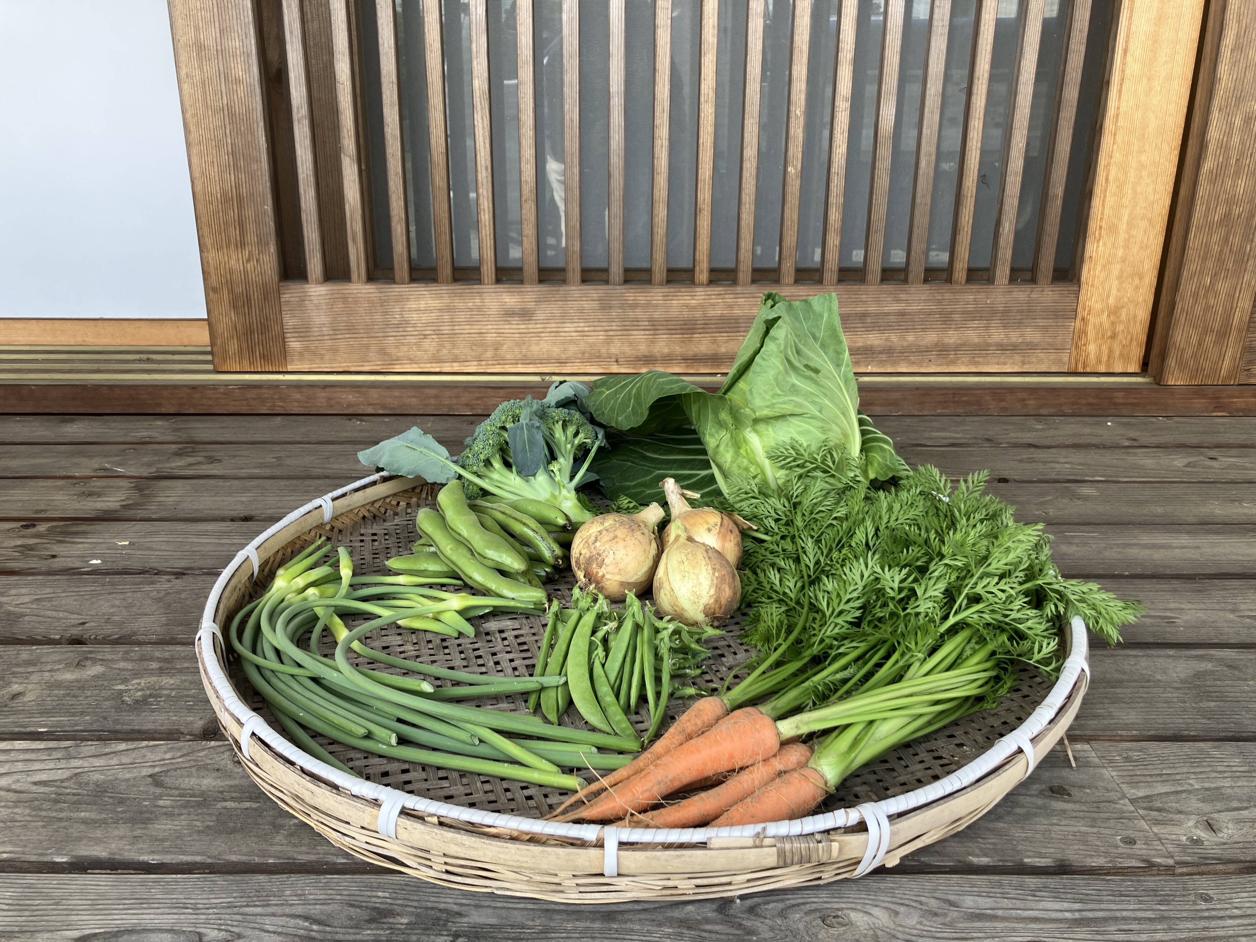 農薬不使用 自然農法 八ヶ岳の麓で育てた季節の彩り野菜セット】農薬・化学肥料不使用（送料 季節の野菜野草の詰め合わせ 桑の葉 リクガメ 爬虫類・両生類のエサ