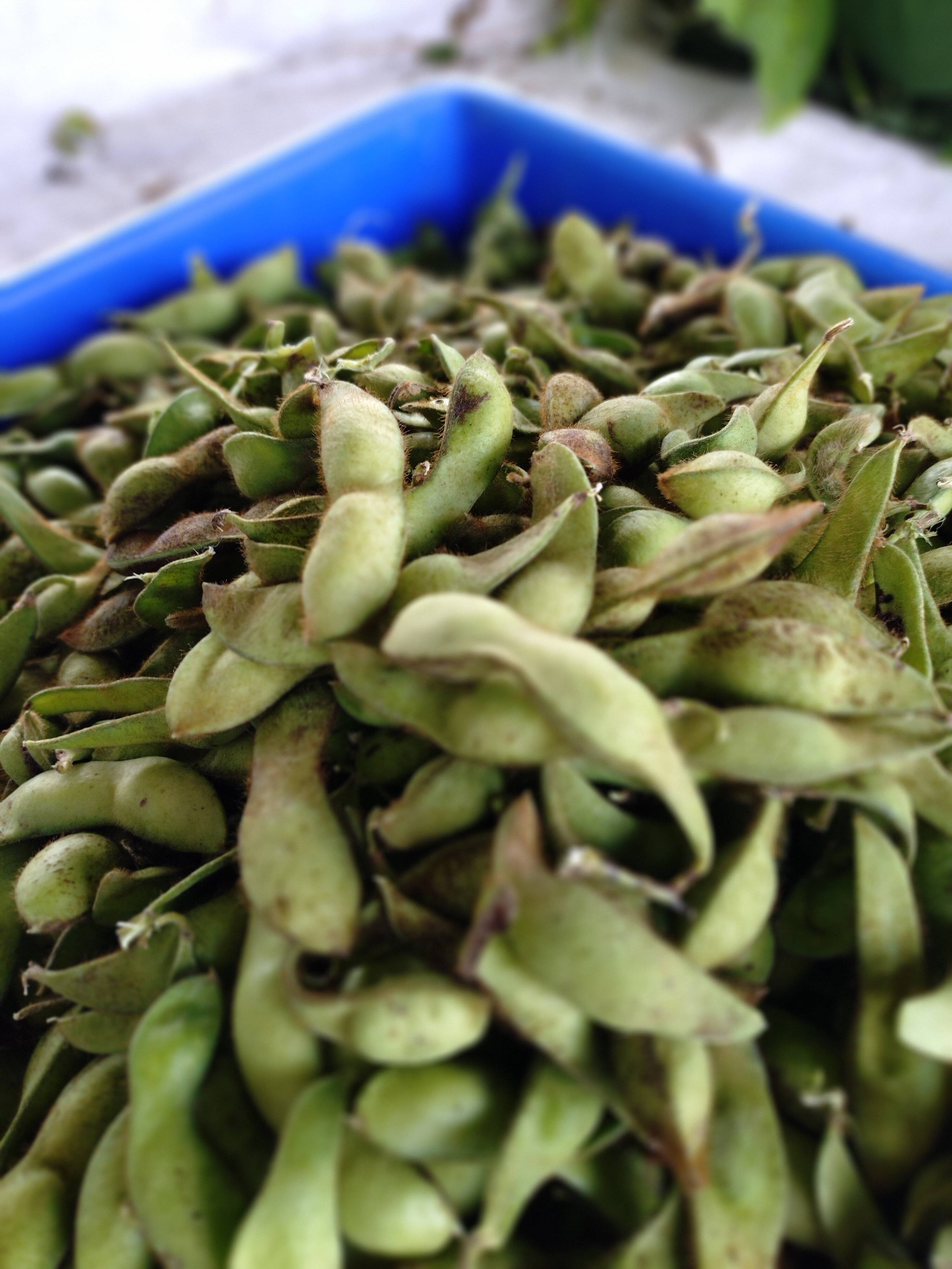 960de0b9a8bd34b2be41a0d3465b30