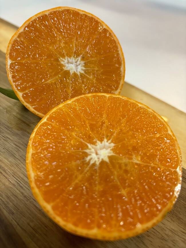 甘さ際立つ、冬のごほうび柑橘【津の輝き】2kg：鹿児島県産のみかん