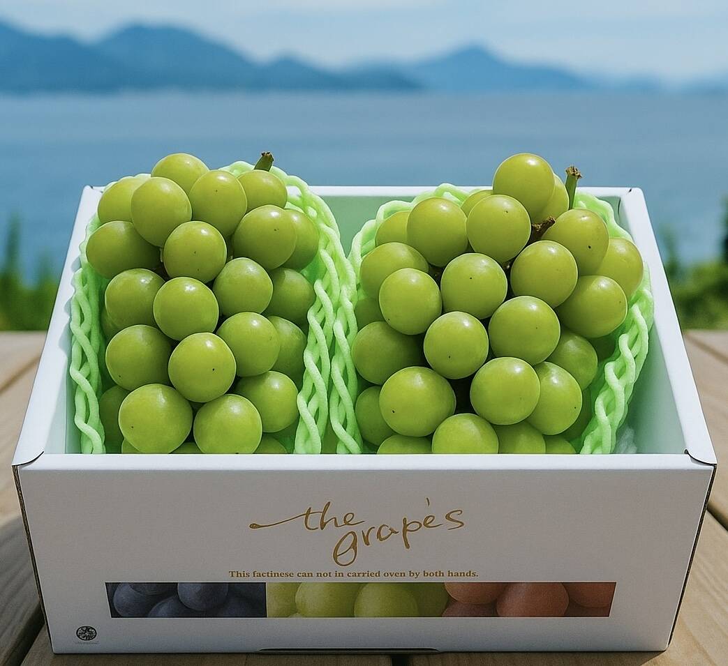 翠の饗宴 岡山育ちシャインマスカット二房セット：岡山県産のシャイン