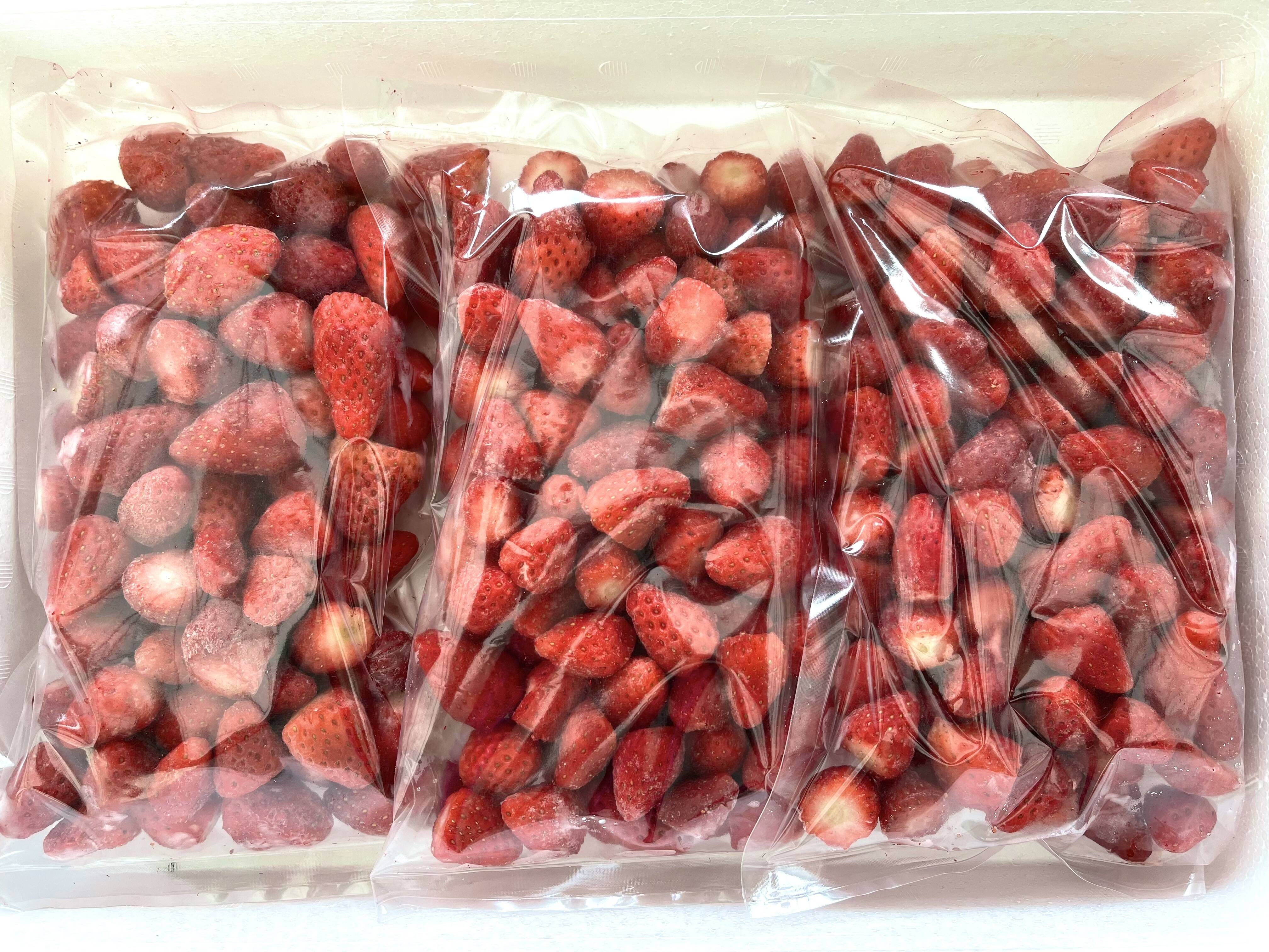 冷凍いちご 6kg(小分け真空パック500g×12袋)入りイチゴ農家 直送
