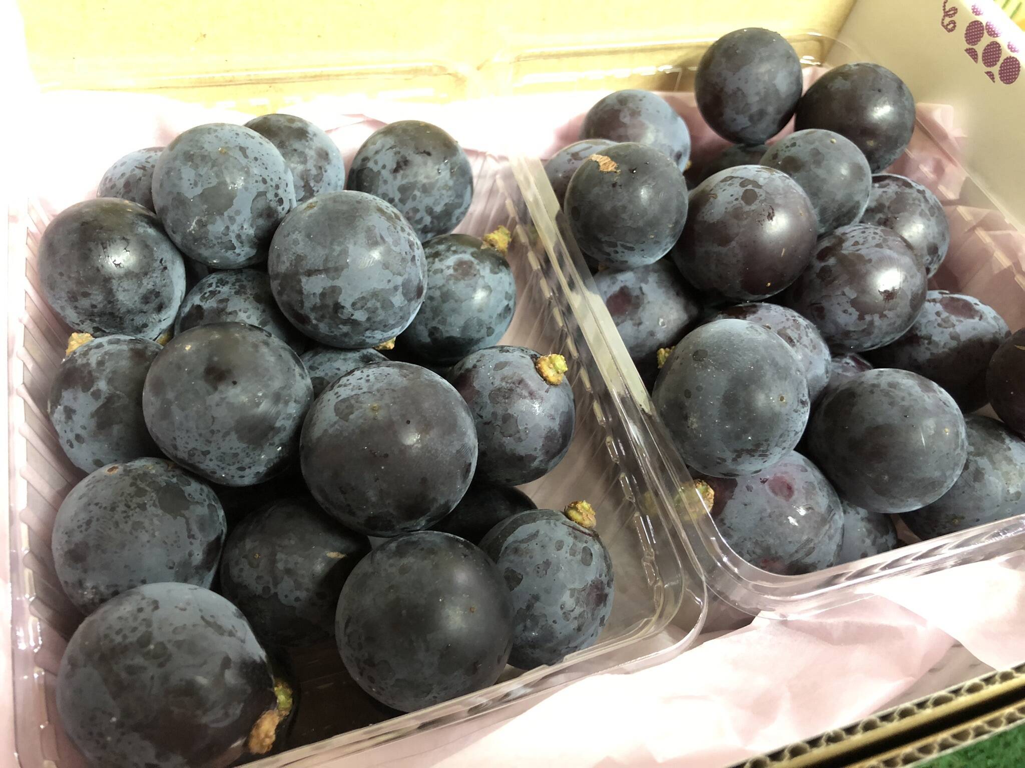 割れ粒 藤稔】訳アリだけど葡萄らしい深い味わい（1kg以上