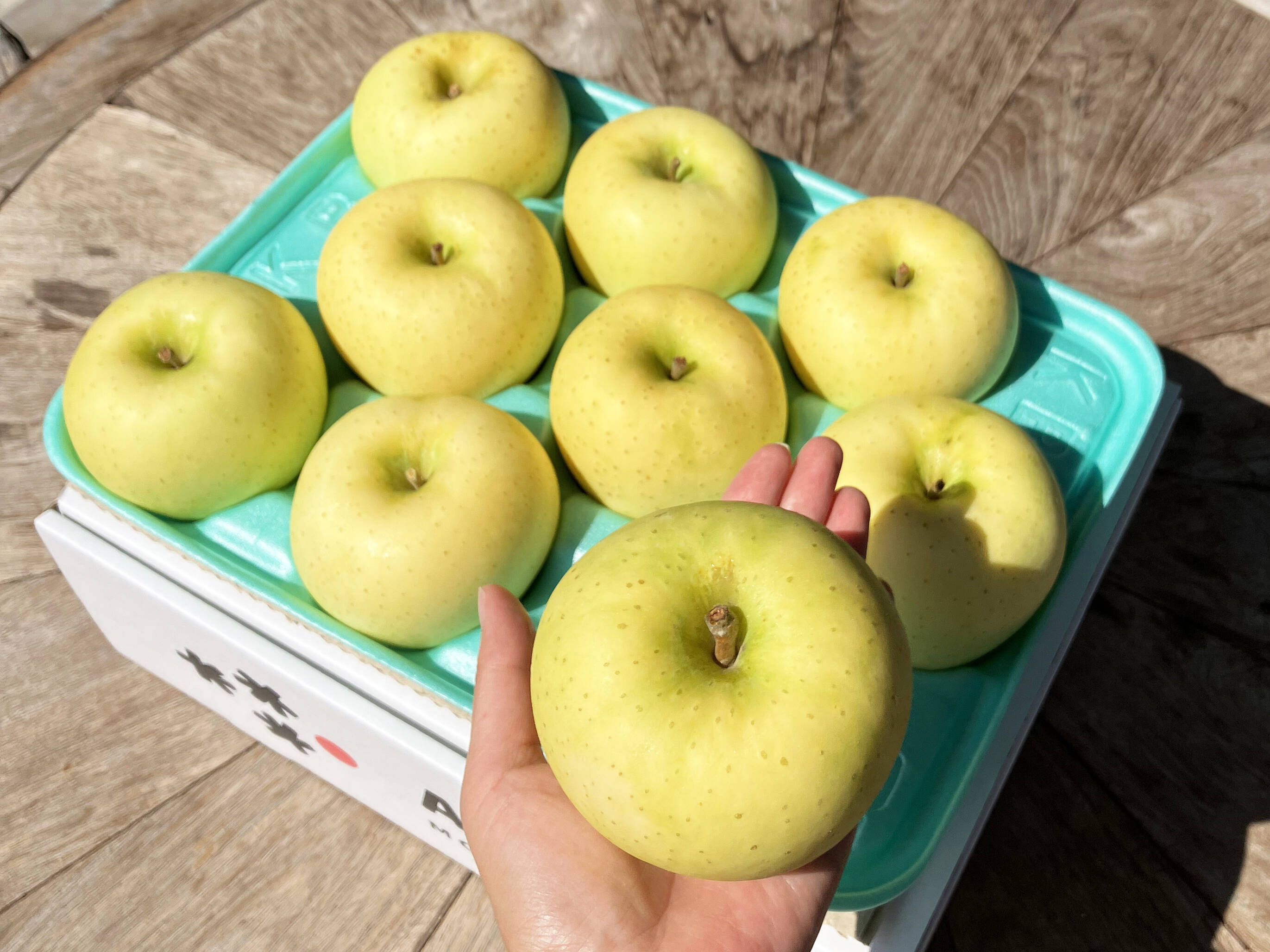 青森岩木山産 山葡萄 皮 樹皮 約3kg B品 青森岩木山産 山葡萄 皮 樹皮 約3kg B品