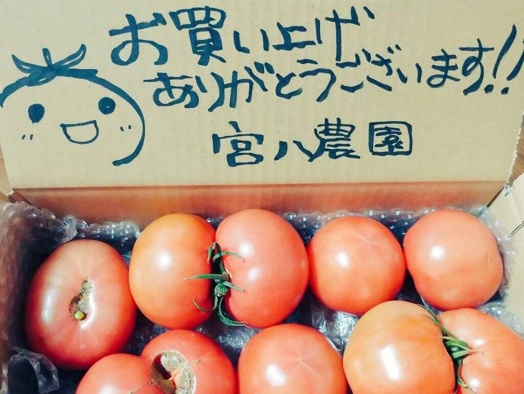 規格外トマトについて】今シーズンもありがとうございました｜食べ