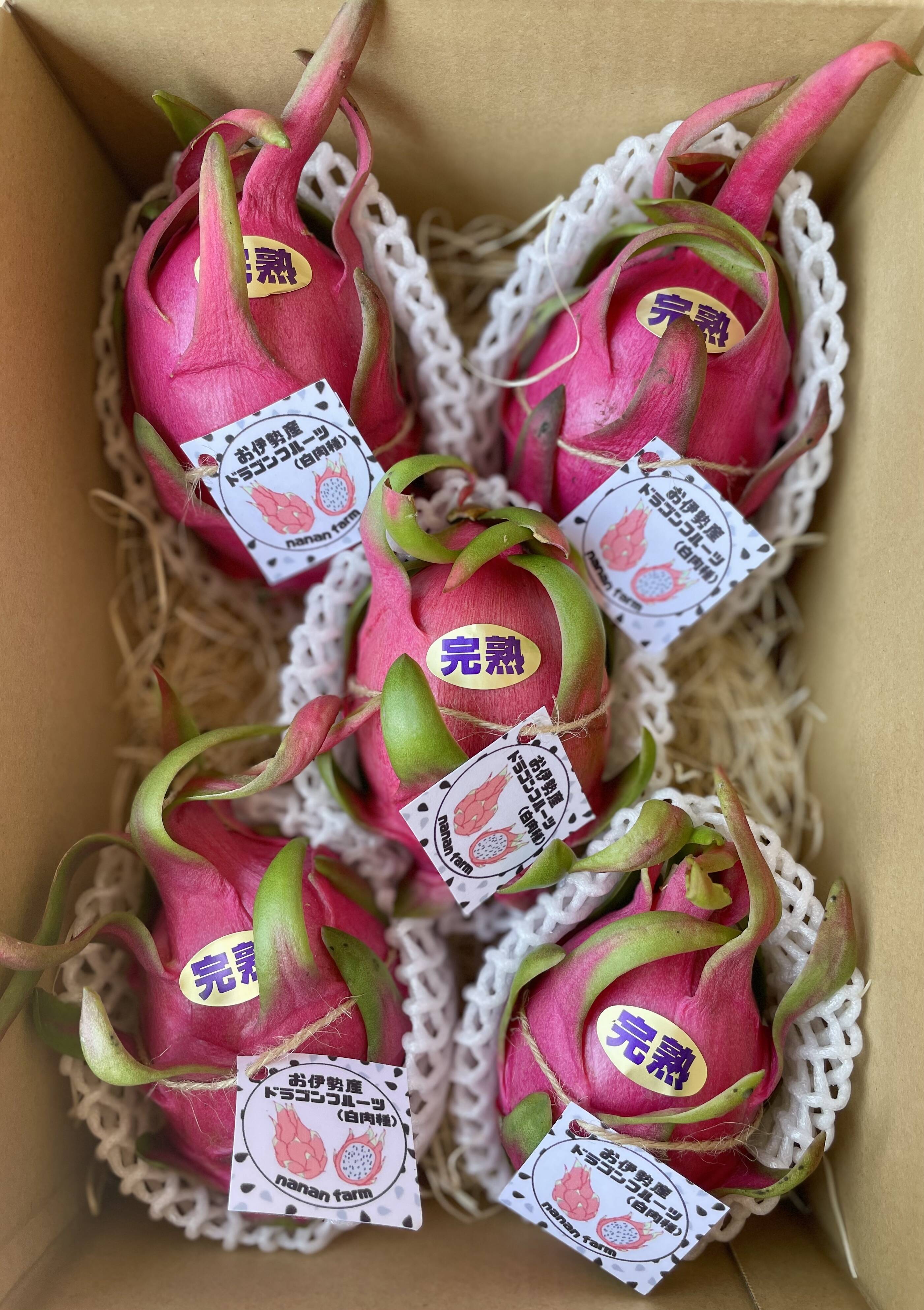 白肉種) 採れたて新鮮‼︎甘さしっかり‼︎ドラゴンフルーツ1kg：三重県