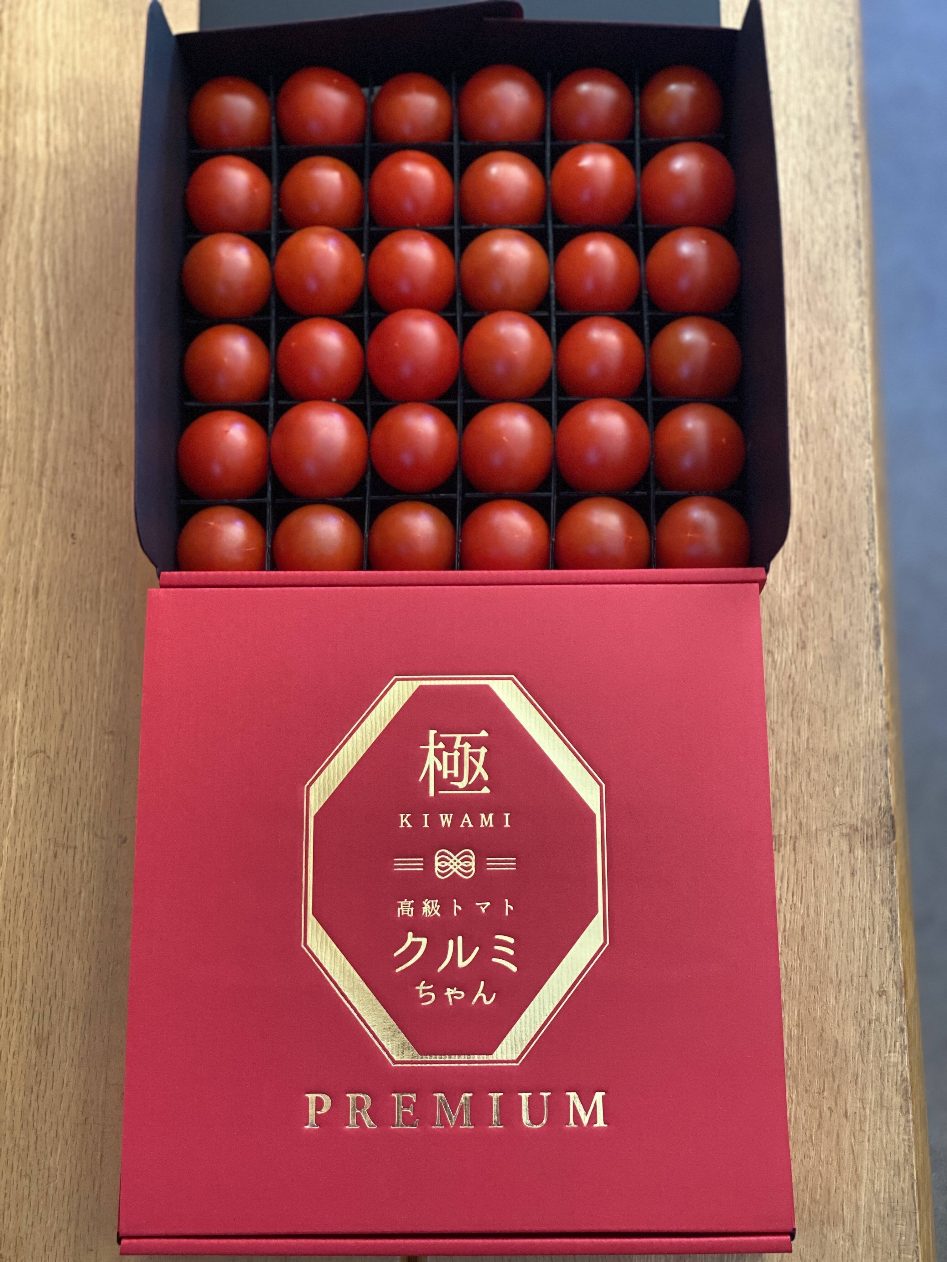 赤目野菜三重県赤目産 希少な高級トマト『ジャングルトマト』約650 ...