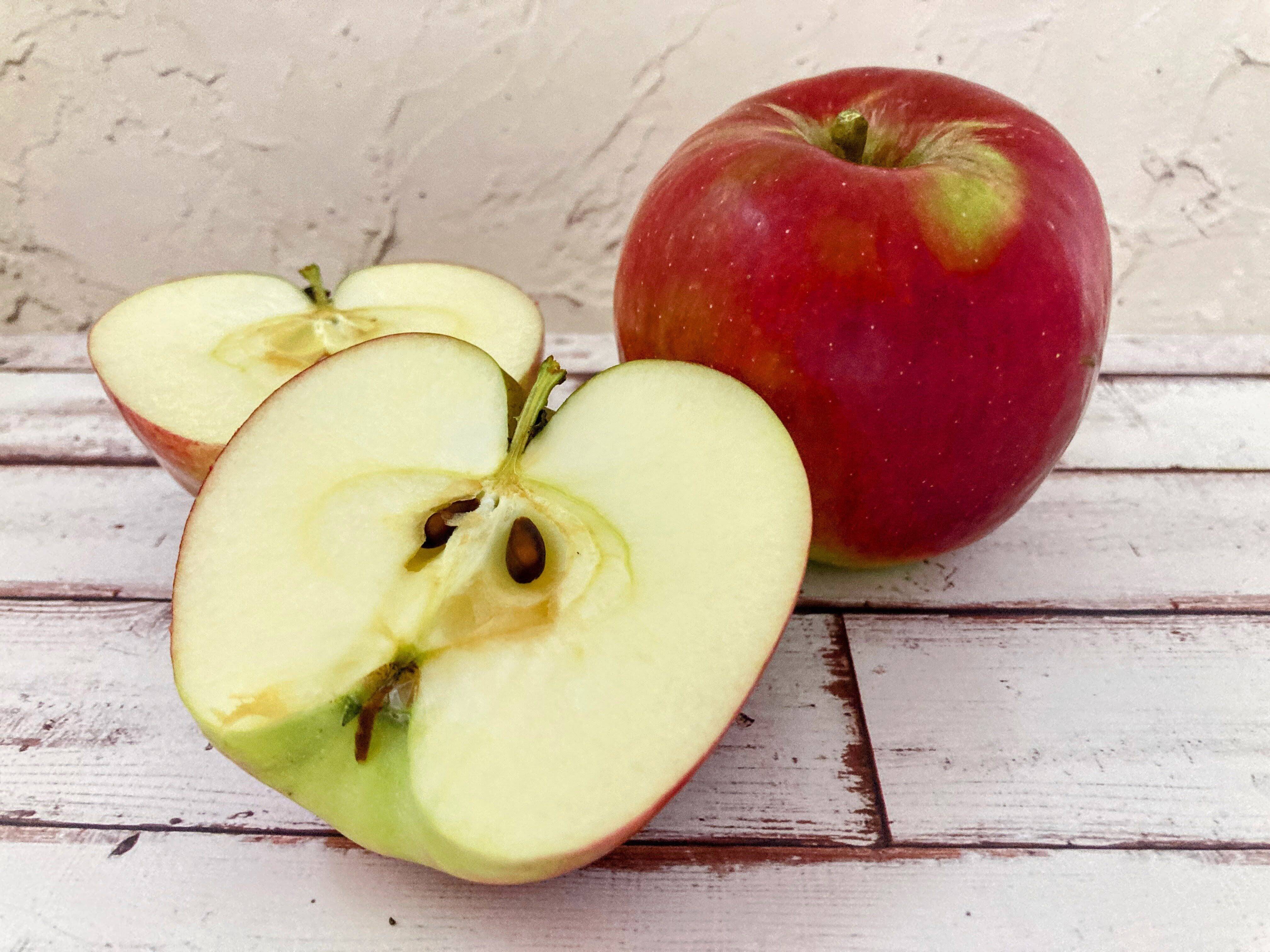 りんご 新作予約・受注生産】TinyFox「洋菓子屋の林檎ちゃん」 【apple