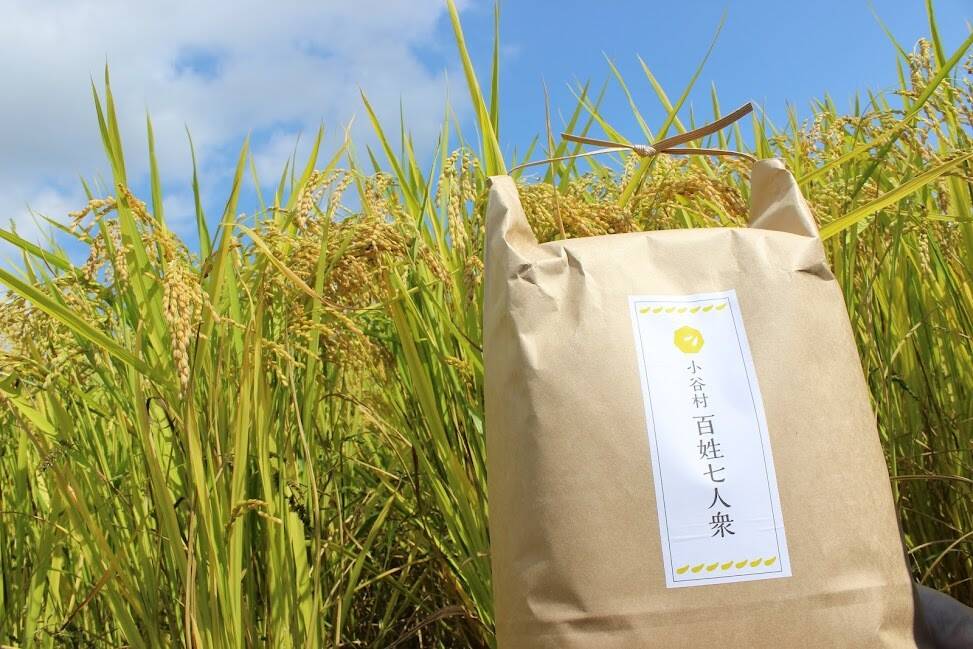 新米】《もち米》【玄米】（3kg）モッチモチのおこわに！ふっくらお