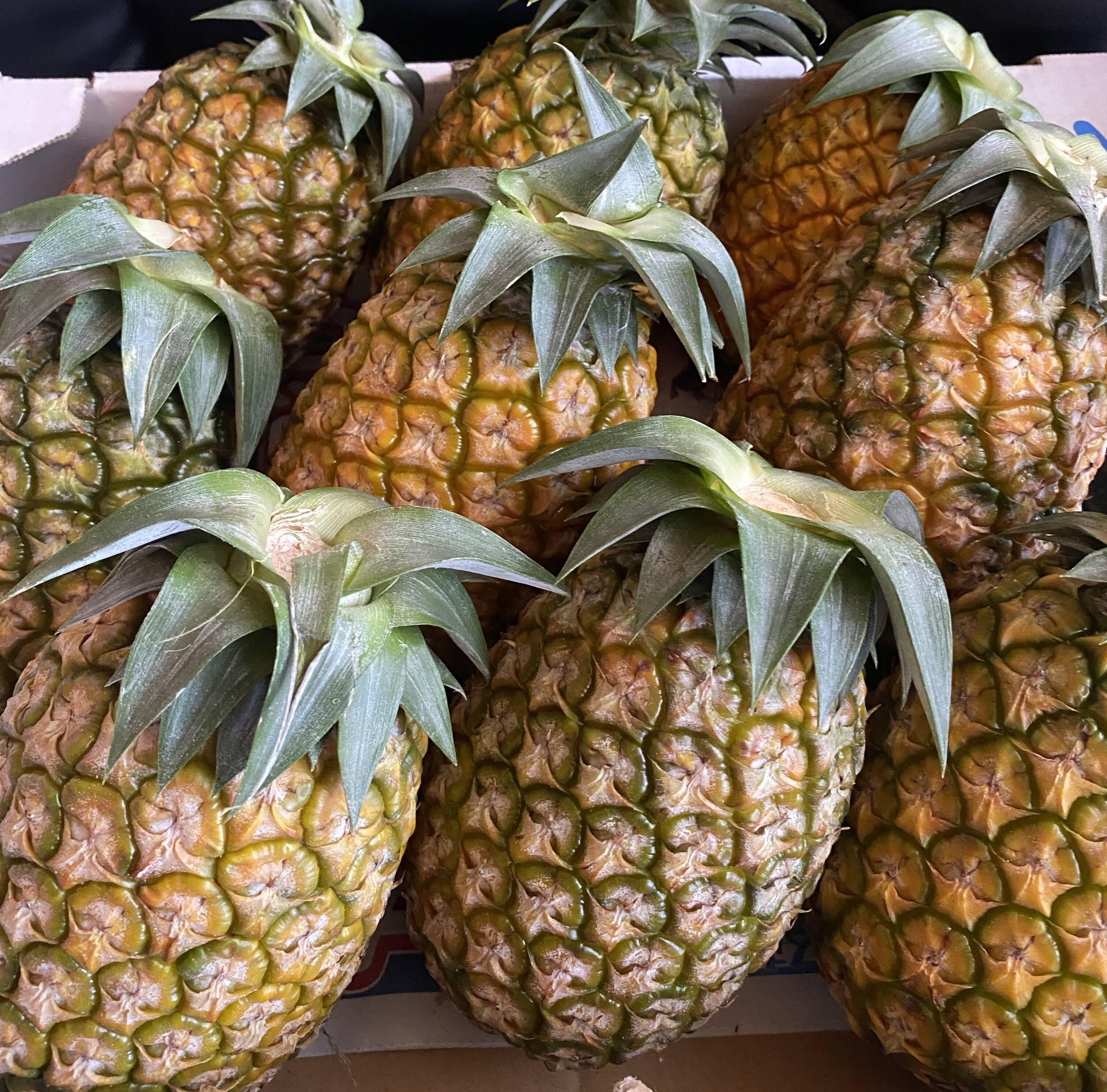 【数量限定】石垣島産 サンドルチェ6kg (4〜6玉) 石垣島産「サンドルチェ」3kg：沖縄県産のサンドルチェ｜食べチョク